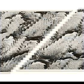 Aaron Siskind (1903-1991): Chicago; and Chicago 5: Aaron Siskind (1903-1991): Chicago; and Chicago 5 Two gelatin silver prints, 1951 and 1960, both signed, titled and dated on the reverse. 10 7/8 x 13 7/8 in. (sheet), 11 x 13 7/8 in. (sheet), both unf