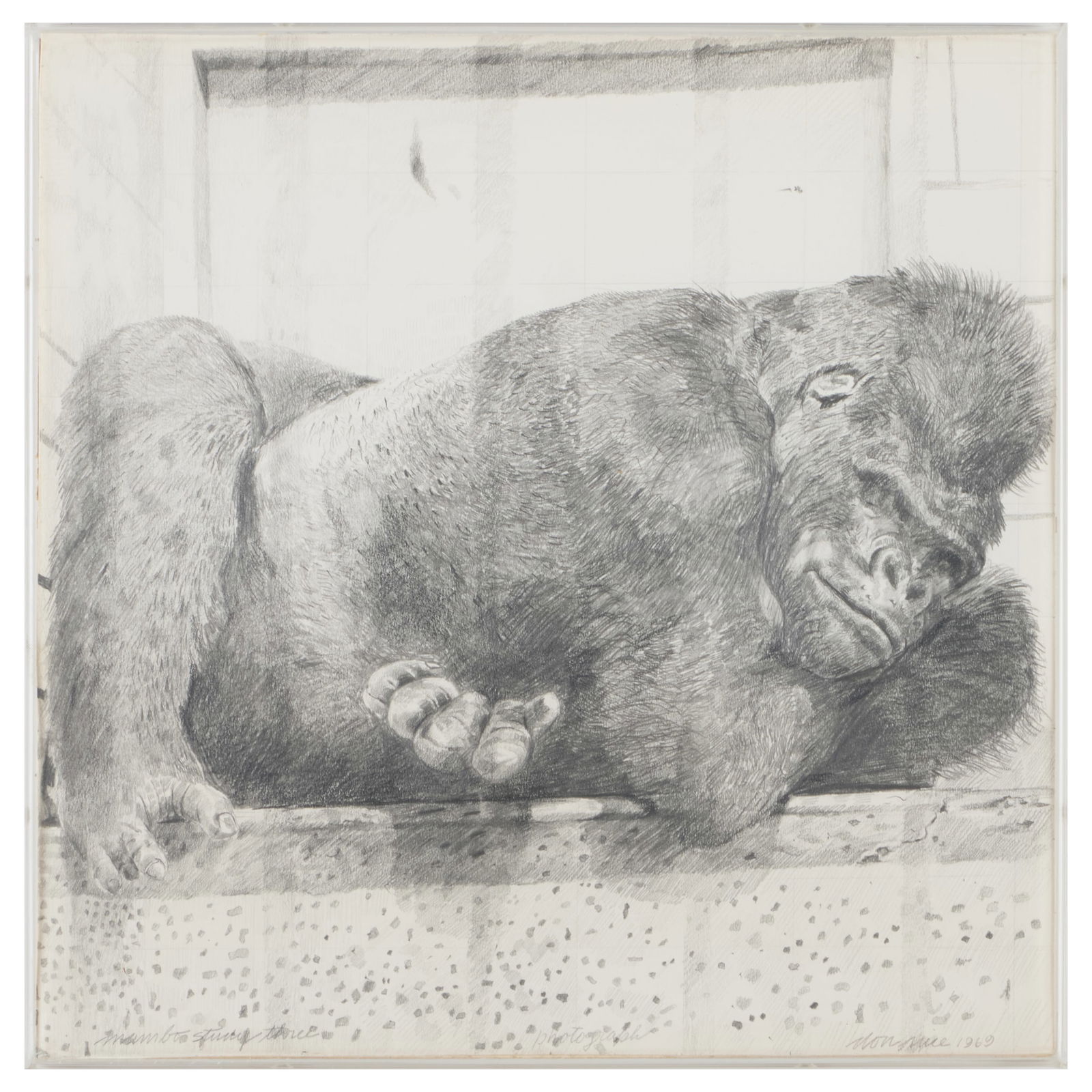 Don Nice (1932-2019): Mambo Study Three: Don Nice (1932-2019): Mambo Study Three Pencil on paper, 1969, signed 'Don Nice' and dated lower right, titled lower left, with label from Allan Stone Galleries, New York. 12 1/4 x 12 1/4 in. (overall