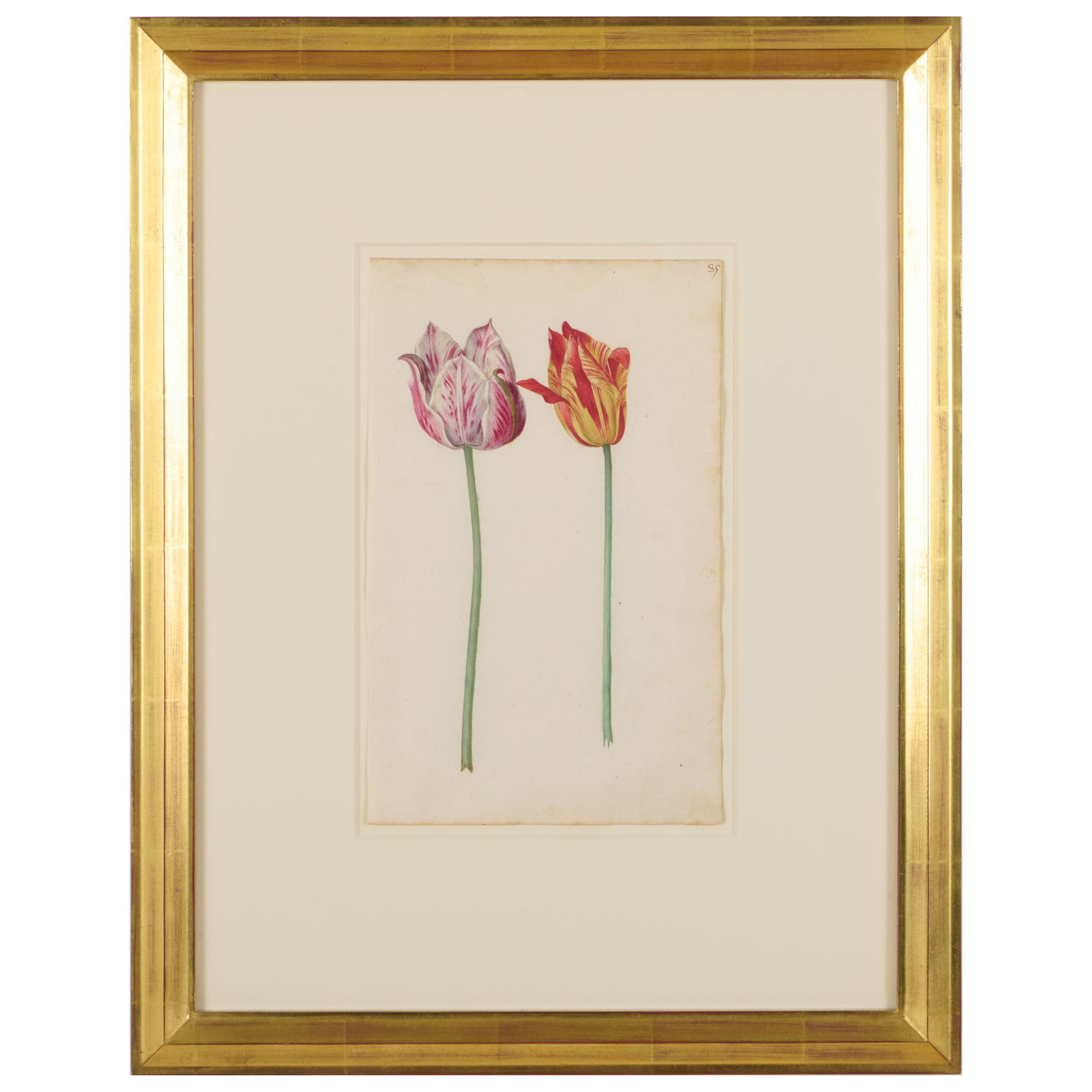 European School: Two Tulips (1 of 1)