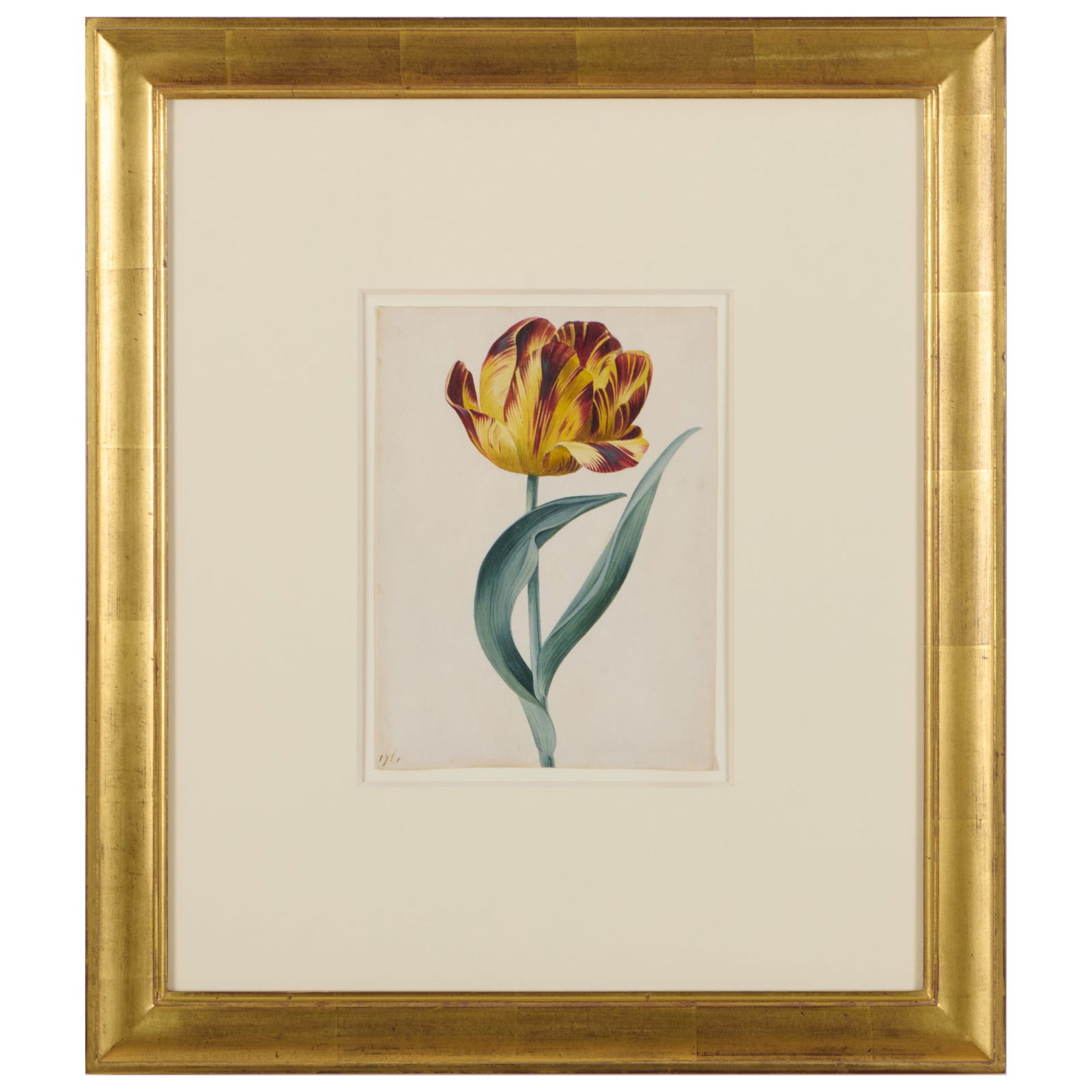Attributed to Georg Dionysius Ehret (1708-1770): A Tulip: Attributed to Georg Dionysius Ehret (1708-1770): A TulipGouache on vellum mounted on paper, 1761, unsigned, dated lower left.8 1/2 x 6 1/8 in. (sheet), 19 1/2 x 17 in. (frame).Jutta Buck,