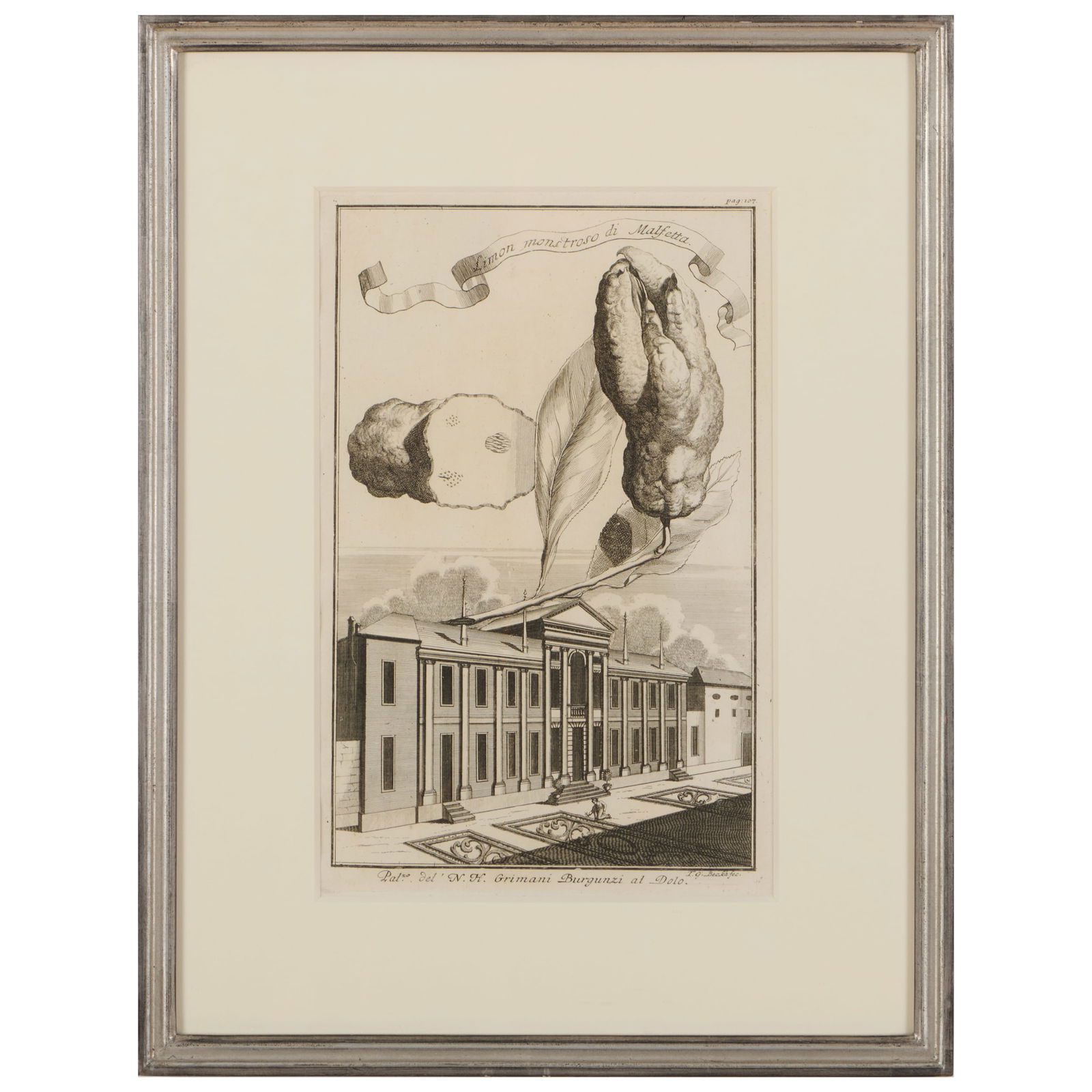 Johann Christoph Volkammer (1644-1720): Nurnbergische Hesperides: Six Plates: Johann Christoph Volkammer (1644-1720): Nurnbergische Hesperides: Six PlatesSix engravings in black on laid paper; together with I. Mariette: Vase de fleurs, engraving in black on laid paper; and