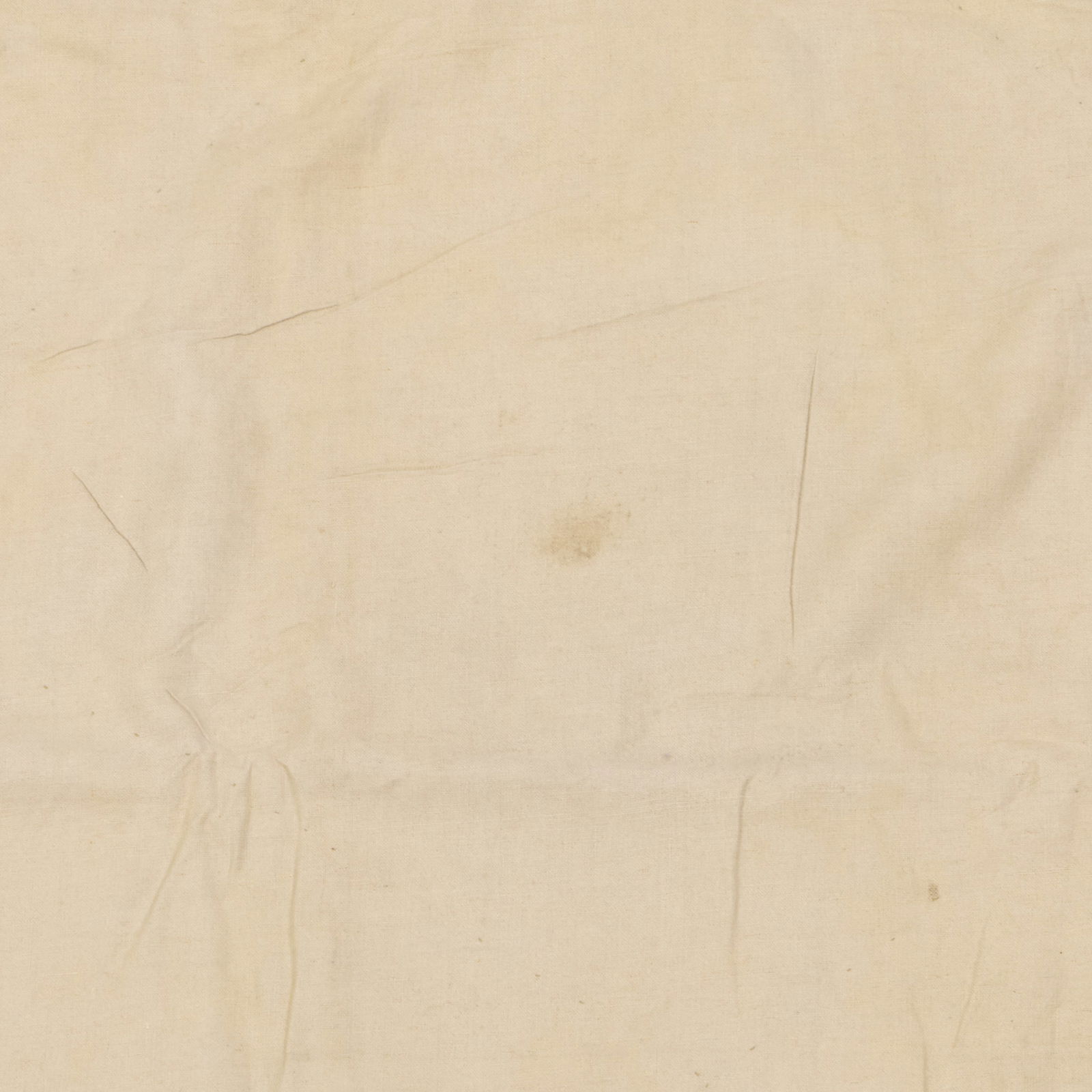 Floral Needlework Carpet - 7