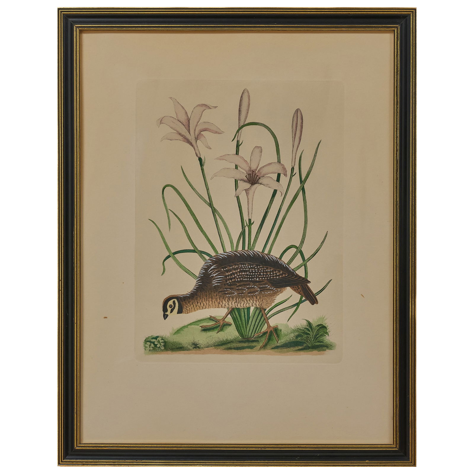 European School: Grouse and Lillies (1 of 1)