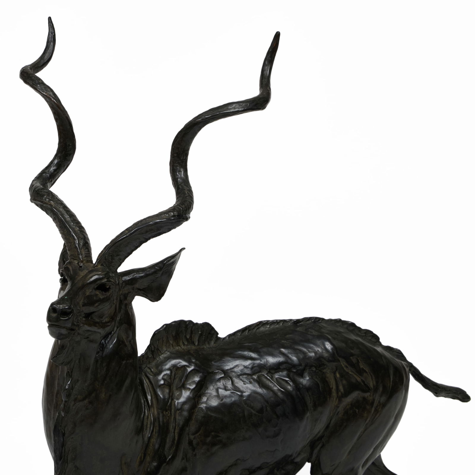 Robert Glen (1940-2023): Kudu - 6