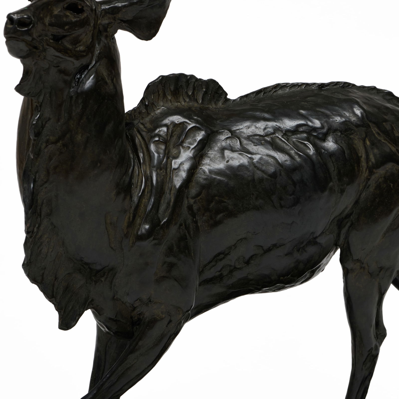 Robert Glen (1940-2023): Kudu - 7