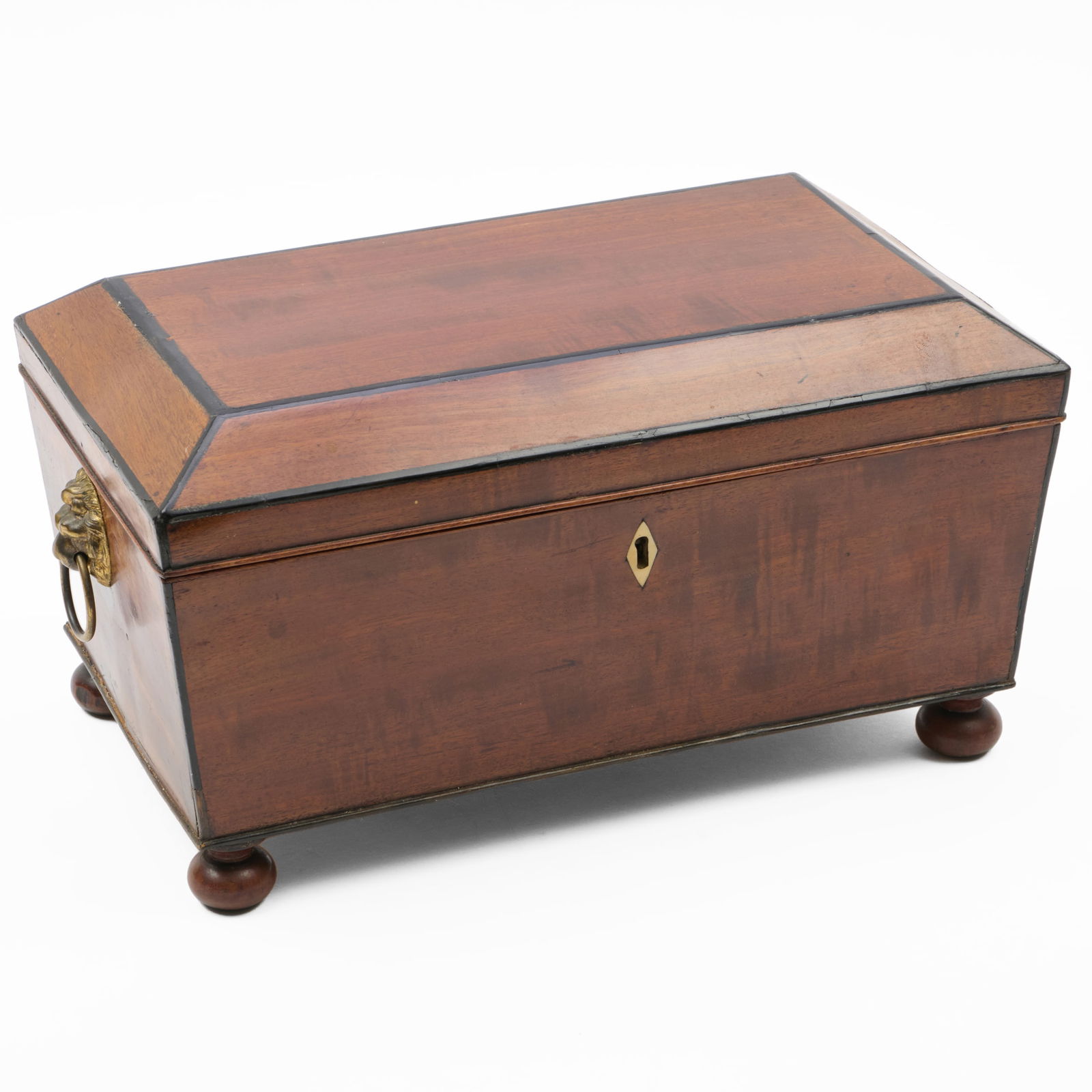 Brass-Mounted Mahogany and Ebonized Sarcophogus Form Tea Caddy (1 of 9)