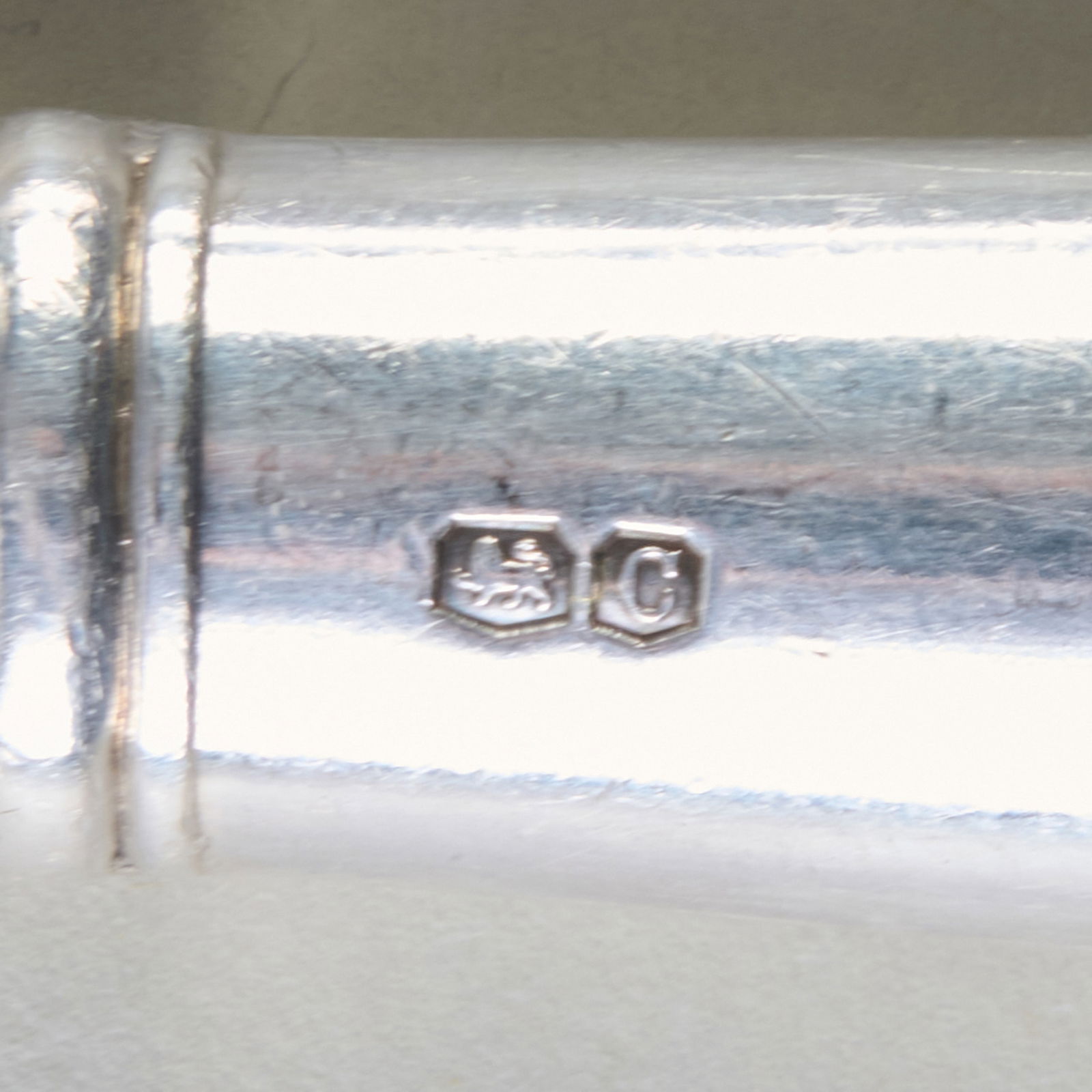 Assembled George V Silver Flatware Service - 17