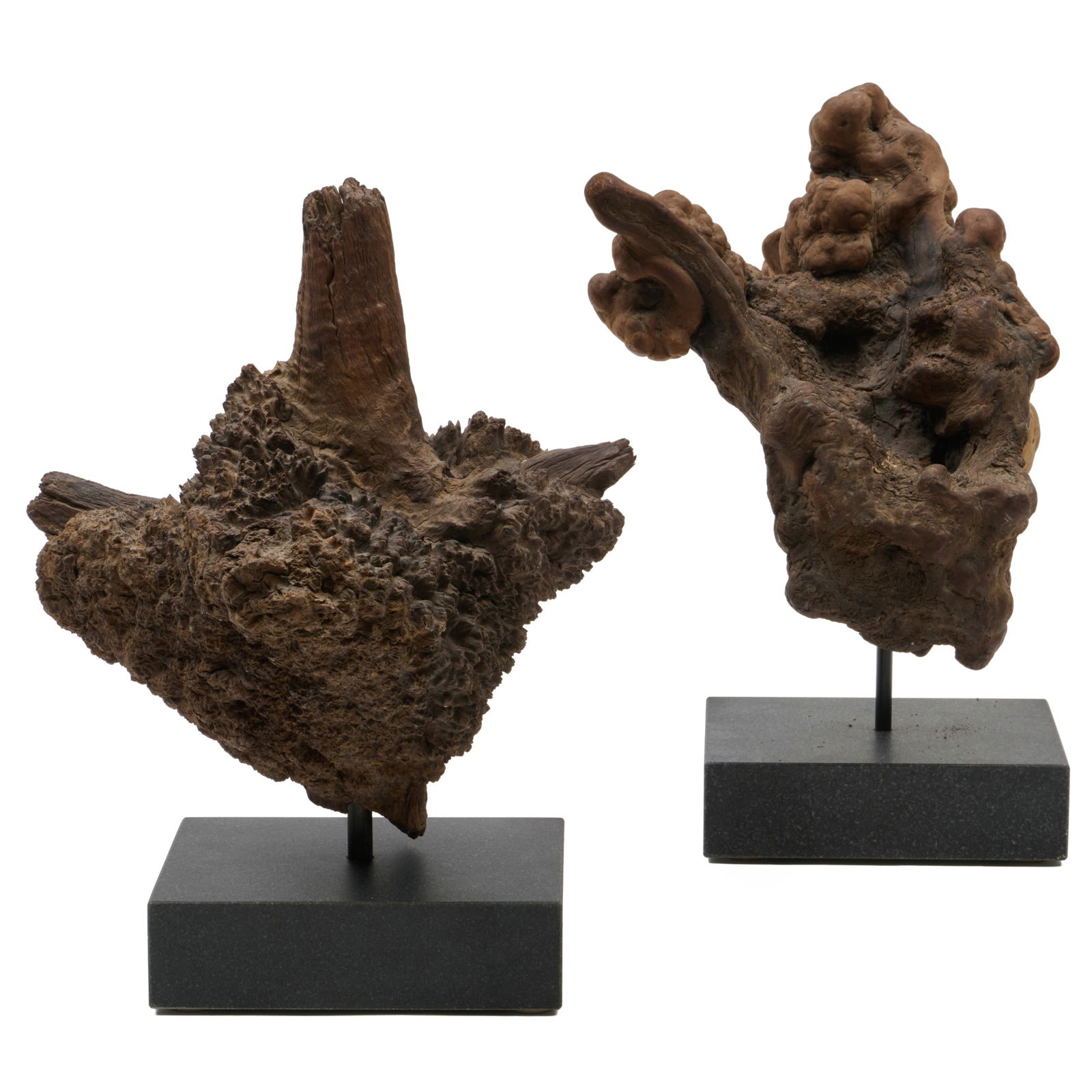 Two Japanese Rootwood Sculptures: Two Japanese Rootwood SculpturesEach on custom marble stand.The first approx. 17 x 13 x 12 in. (overall), the second approx. 16 x 9 x 10 in. (overall).