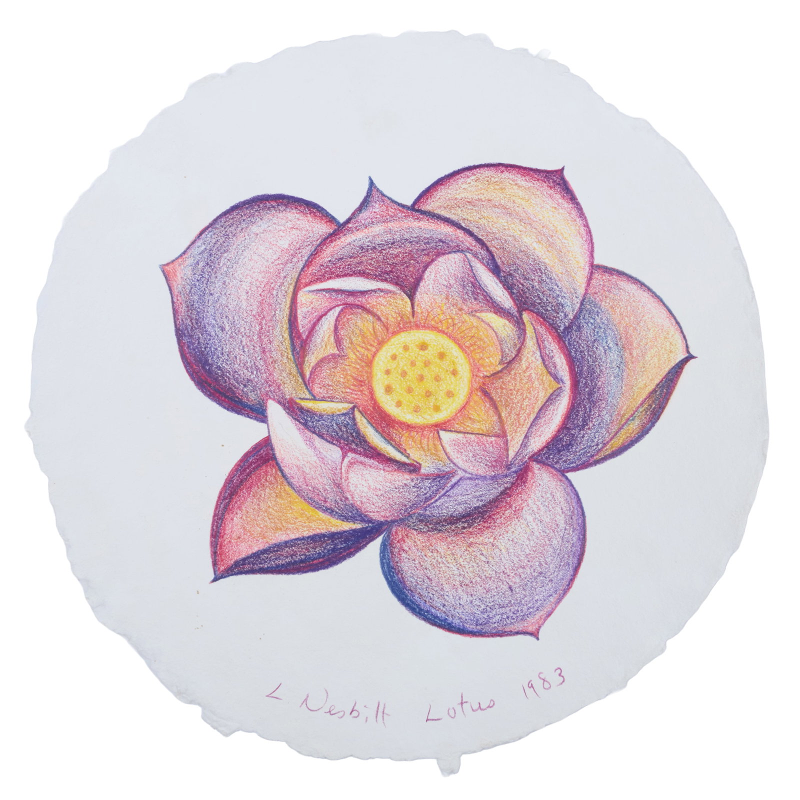 Lowell Nesbitt (1933-1993): Lotus; Lily; Tulip; and Bird of Paradise (1 of 13)