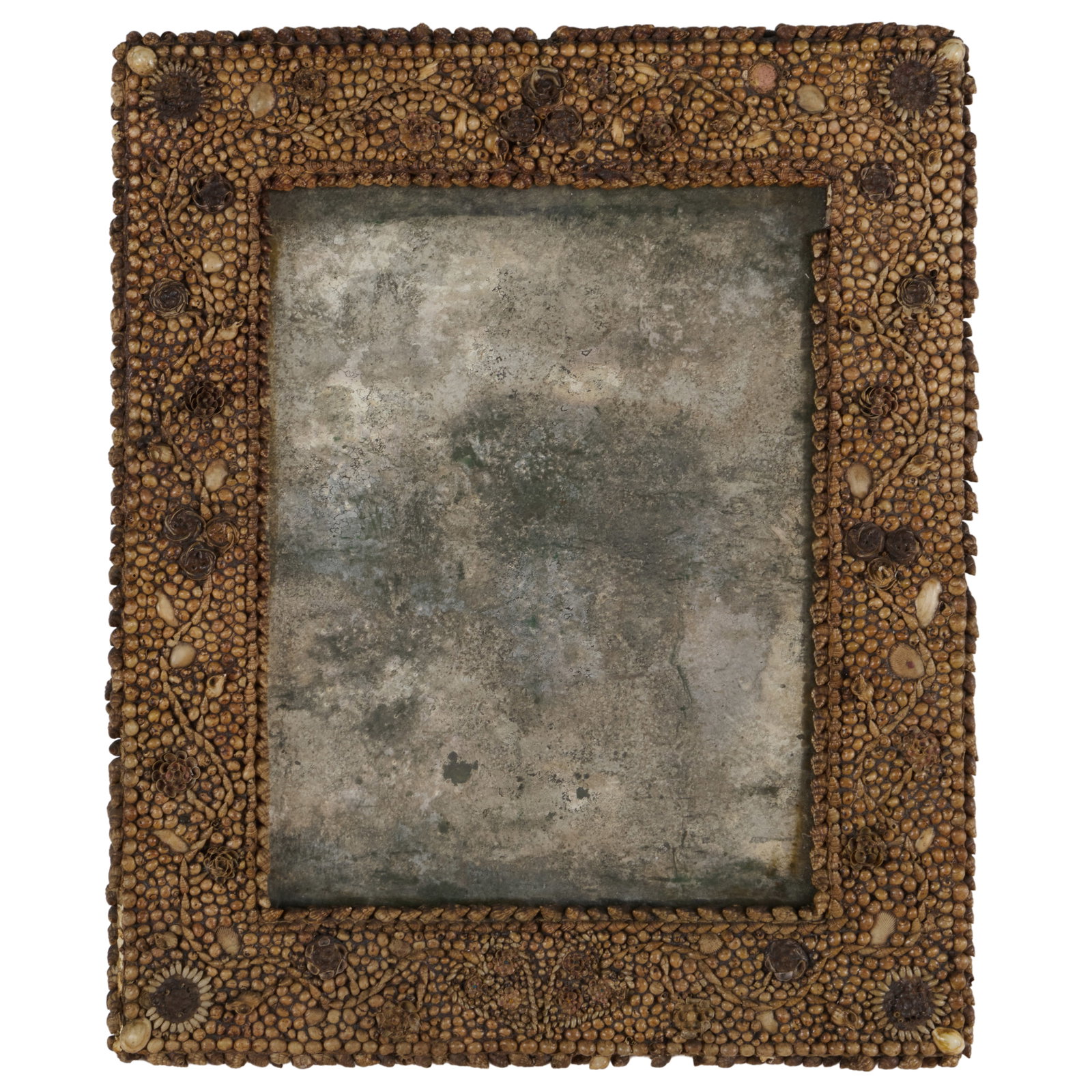 Bark Frame and a Shell Encrusted Mirror - 4
