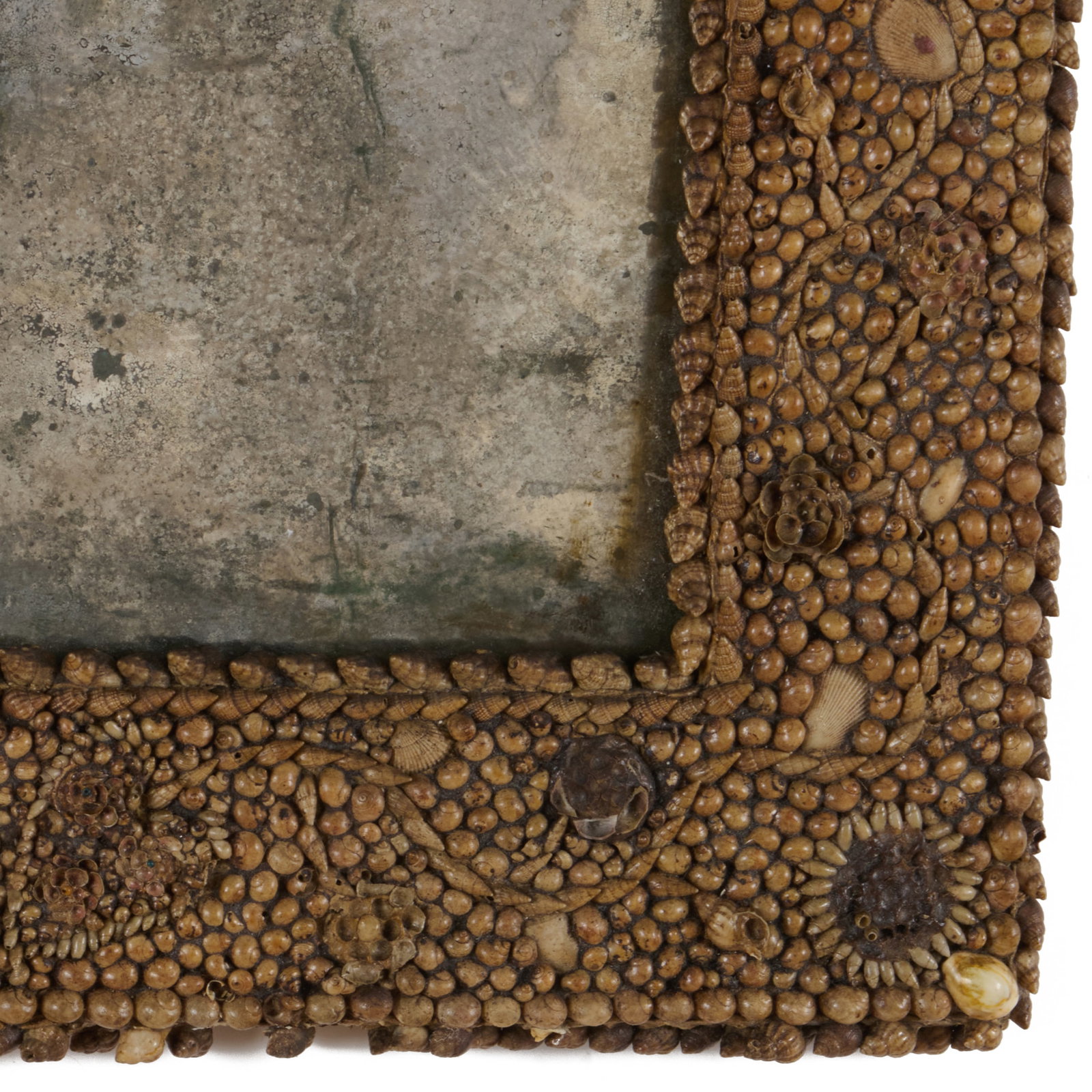 Bark Frame and a Shell Encrusted Mirror - 5