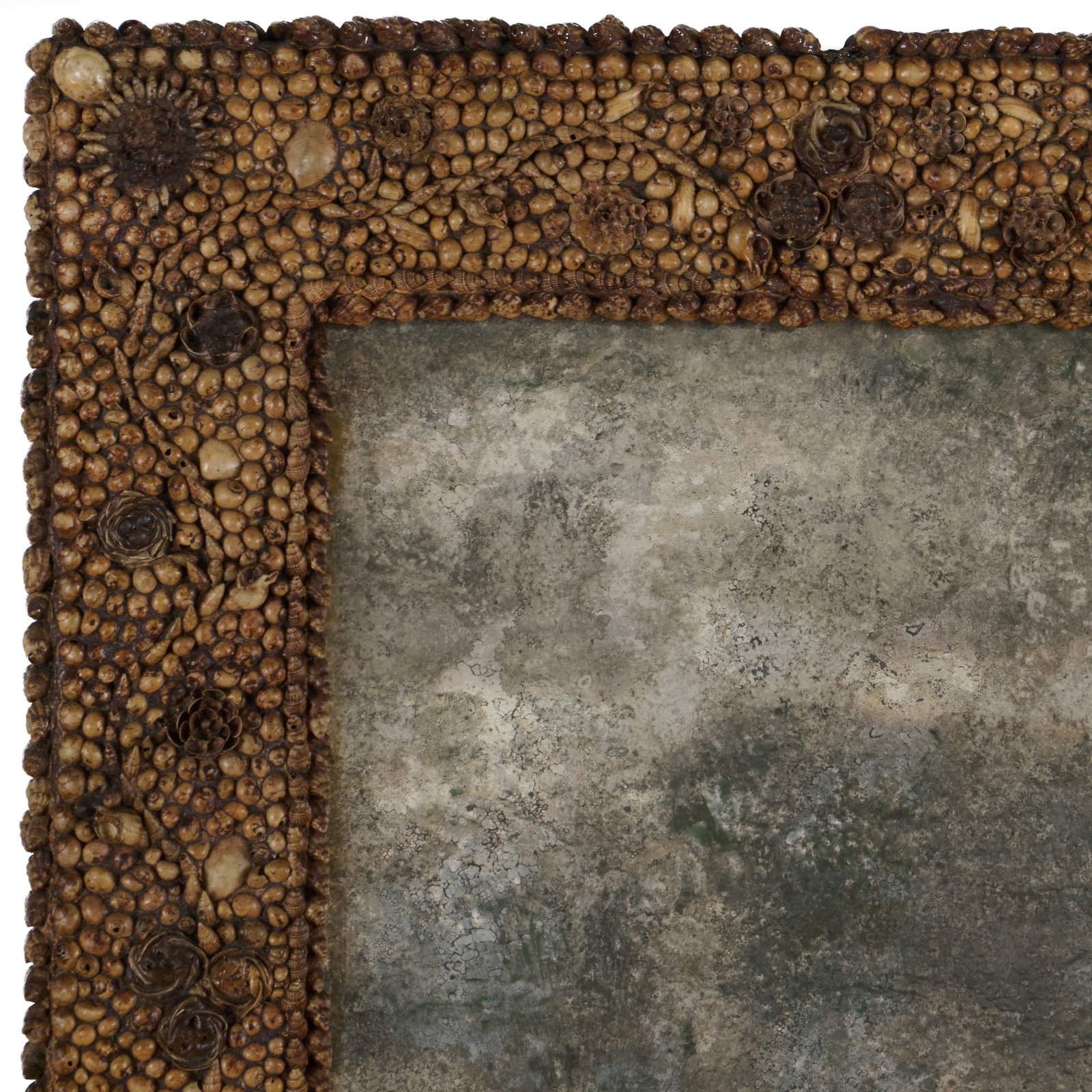 Bark Frame and a Shell Encrusted Mirror - 6