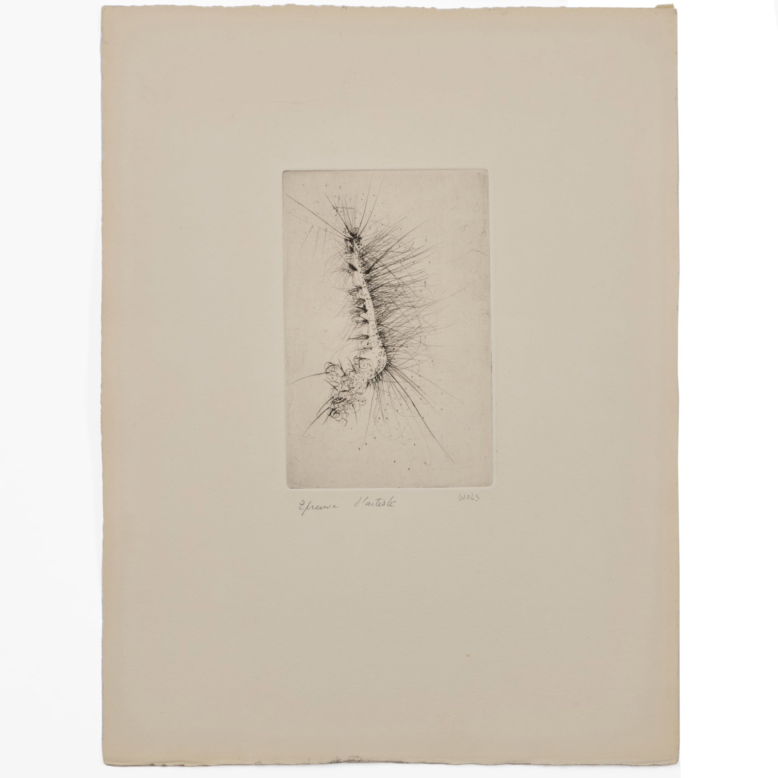 Wols (1913-1951): Large Caterpillar: Wols (1913-1951): Large Caterpillar Drypoint in black on Rives, c.1943-44, signed and inscribed 'Eprueve d'artiste' in pencil; together with Richard Artschwager (1923-2013): Self Portrait, linocut in