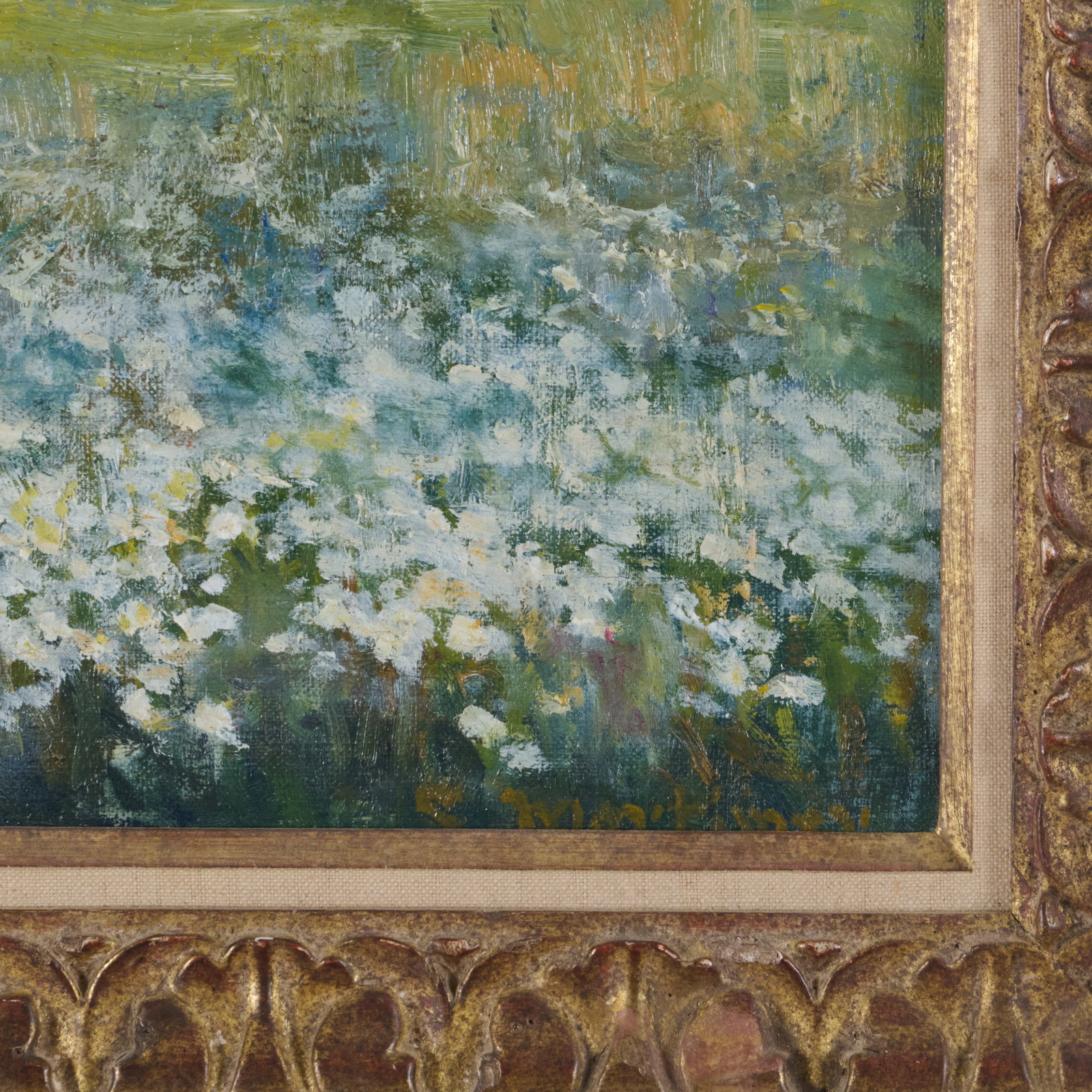 C. Mortimer: Spring Daises - 2