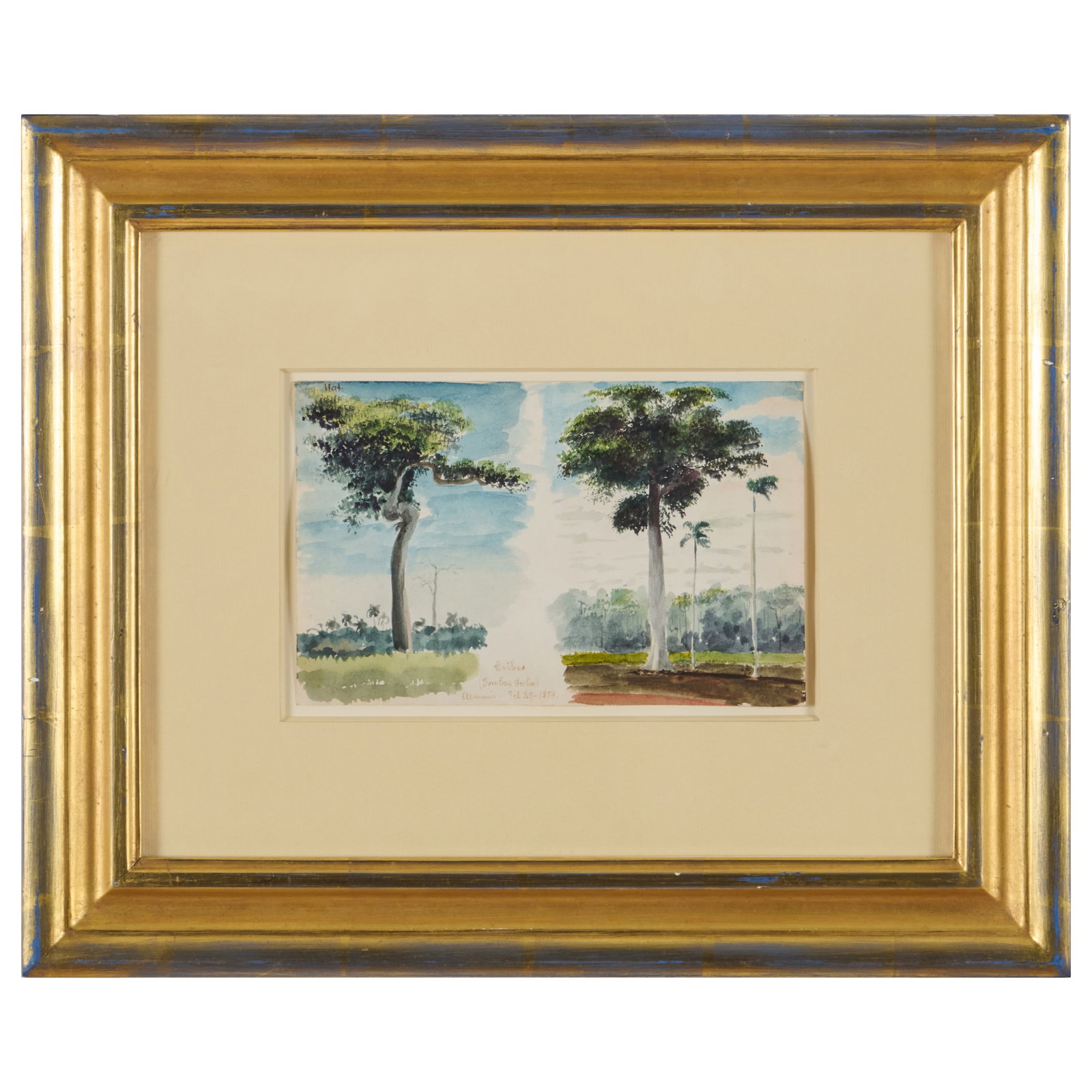 Charles de Wolf Brownell (1822-1909): Ceibus: Watercolor on paper, 1859, unsigned, titled and dated lower center, with label from Hirschl & Adler Galleries, Inc., NY and Borghi Fine Art Gallery, Englewood, NJ. 5 1/4 x 8 1/8 in. (sheet), 13 3/4 x