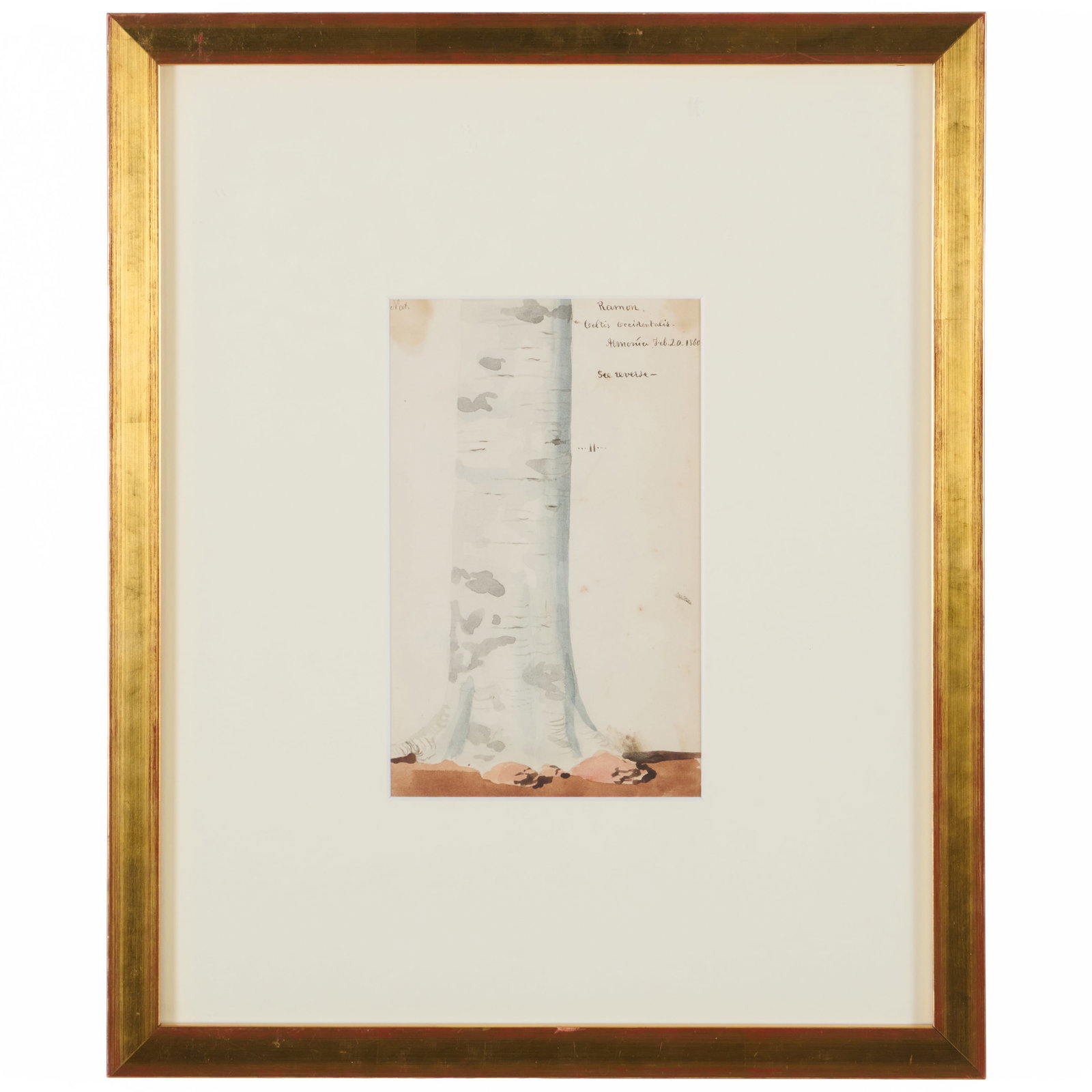 Charles de Wolf Brownell (1822-1909): Dagame; and Ramon: Two watercolor on paper, 1959 and 1960, unsigned, titled and dated lower right and upper right respectively, with labels from Michael Borghi Fine Art, Tenafly, NJ.8 1/4 x 5 in. (sight), 17 x 14 in.