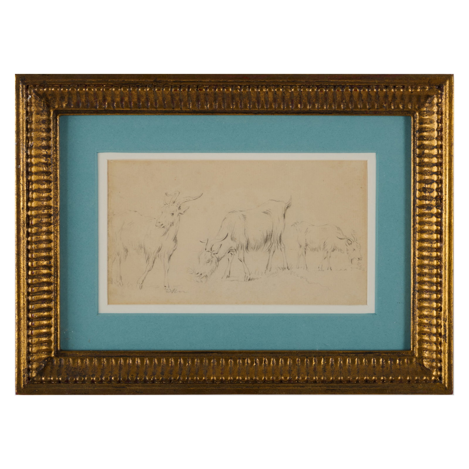 Dutch School: Sketch of Three Goats (1 of 2)