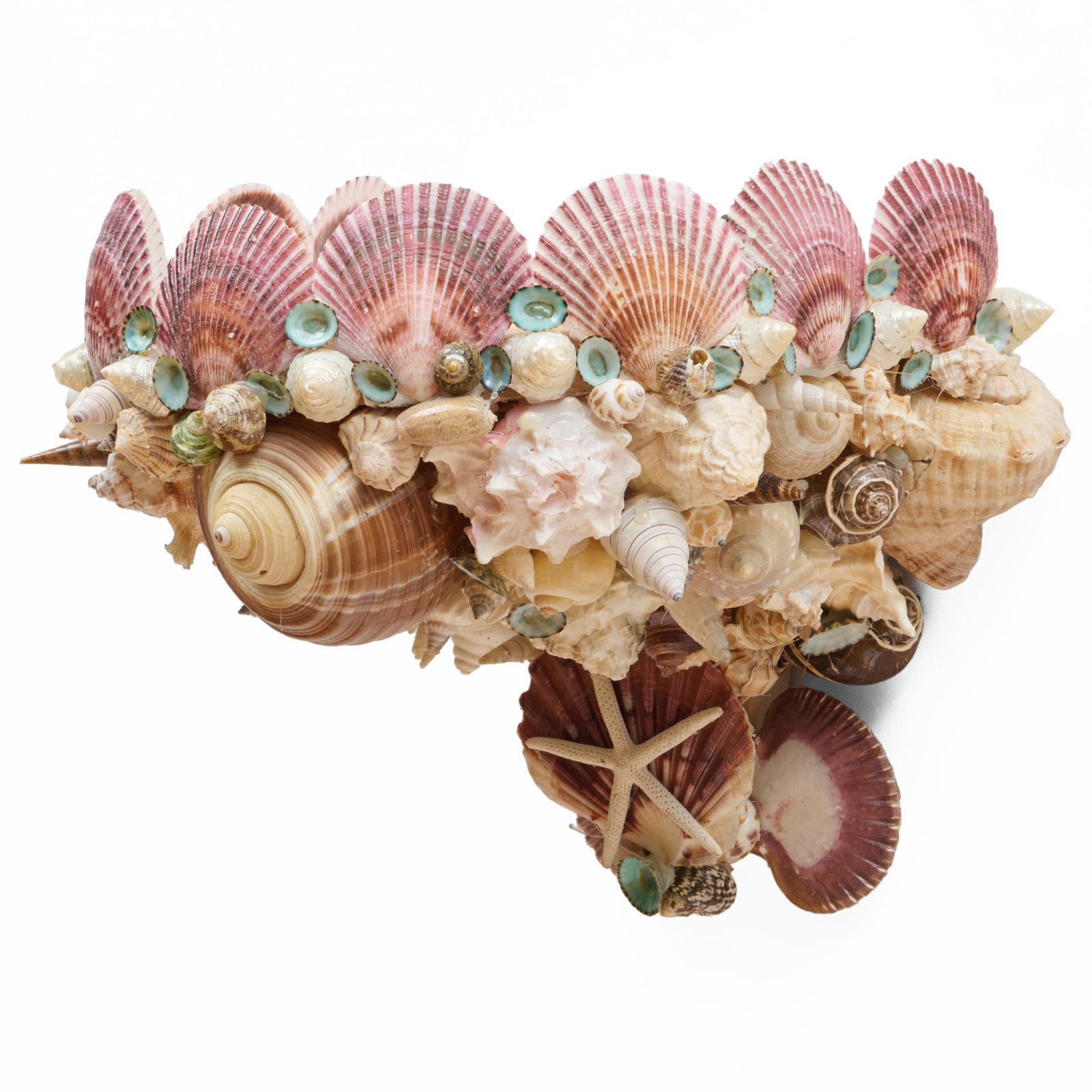 Large Shell Encrusted Bracket - 2