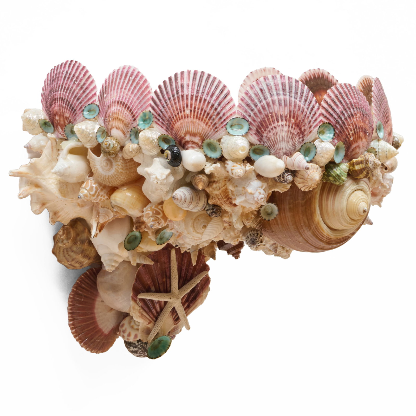 Large Shell Encrusted Bracket - 3
