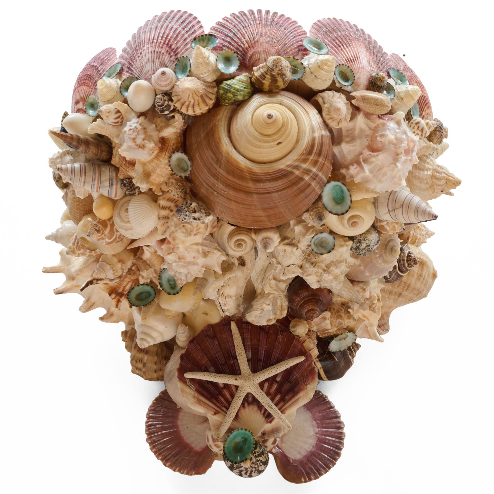 Large Shell Encrusted Bracket - 4