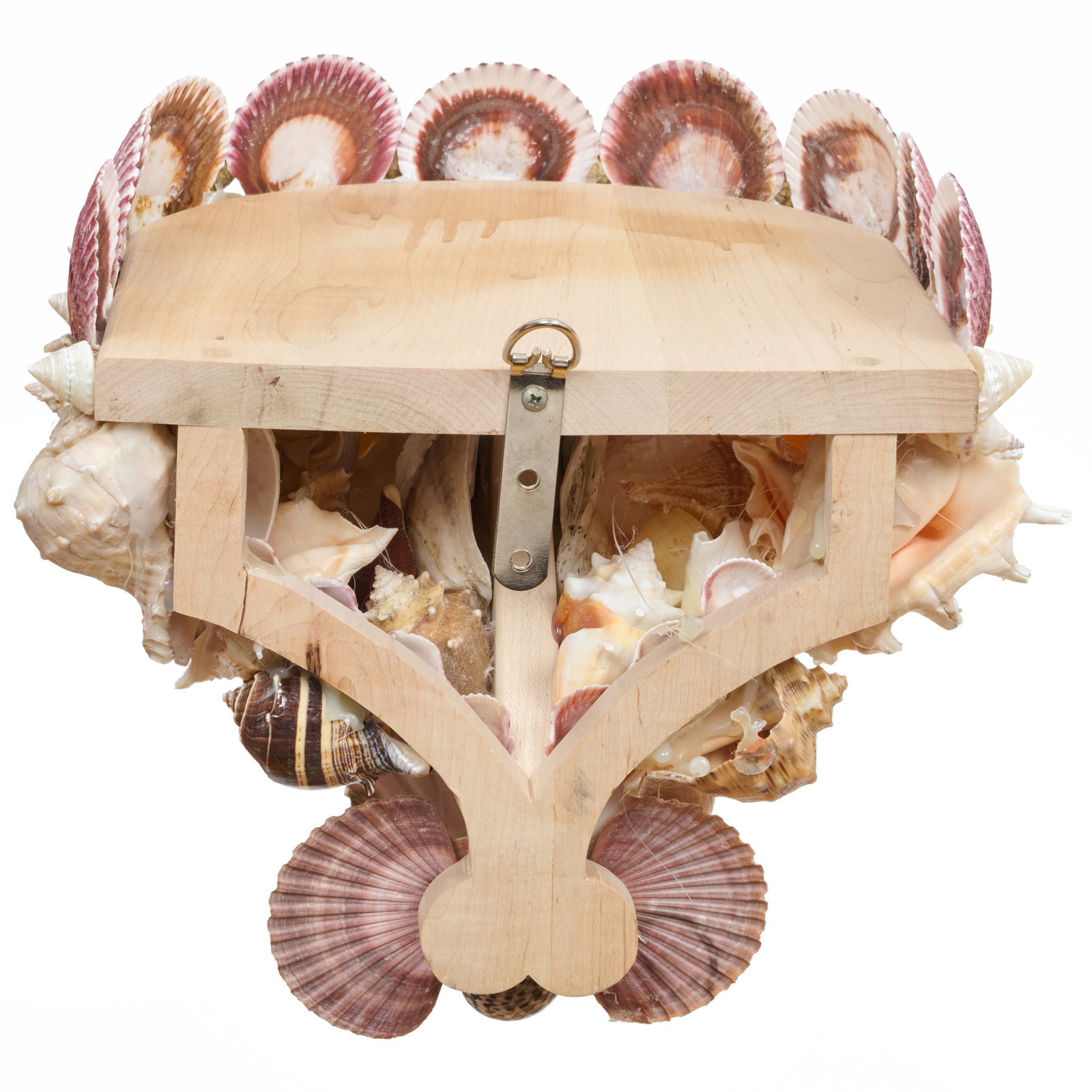 Large Shell Encrusted Bracket - 5