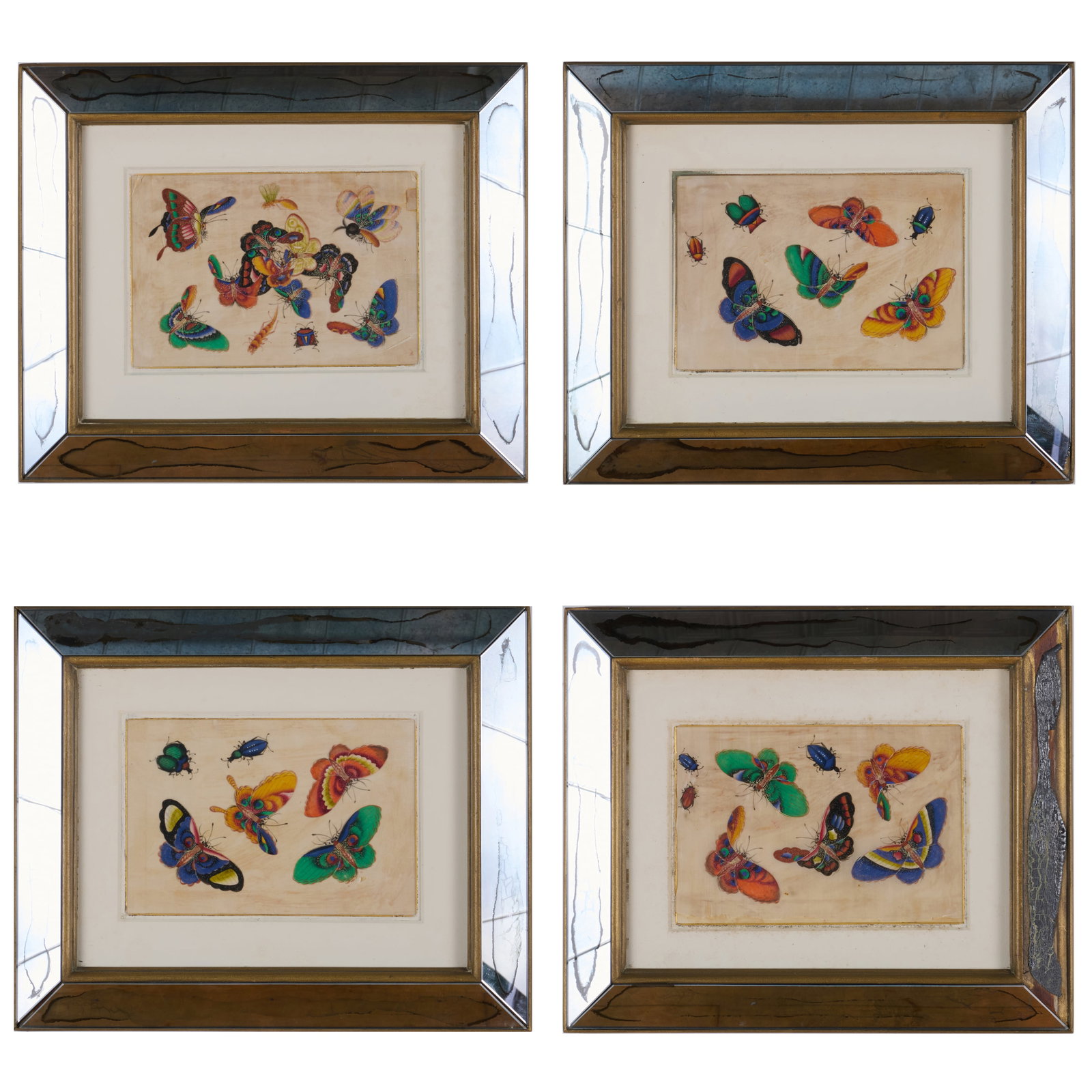 Set of Four Chinese Export Butterly Pictures on Pith Paper (1 of 6)