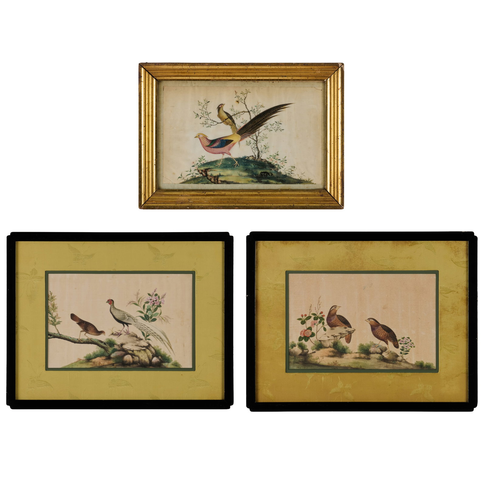 Group of Three Chinese Export Paintings of Birds: Group of Three Chinese Export Paintings of Birds Comprising a pair and a single.The pair 7 1/2 x 11 1/4 in. (sight), 14 x 18 in. (frame); the single 7 1/2 x 12 1/4 (sight), 11 1/4 x 15 3/4 in.