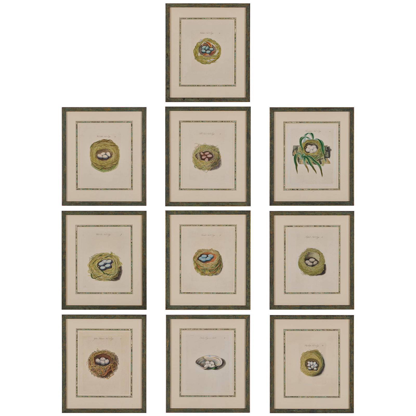 James Bolton (c.1740-1799): Harmonia Ruralis: Ten Plates: James Bolton (c.1740-1799): Harmonia Ruralis: Ten Plates Ten engravings with hand-coloring on wove paper, c. 1821. All 8 1/2 x 7 in (sight), 14 x 12 in. (frame).