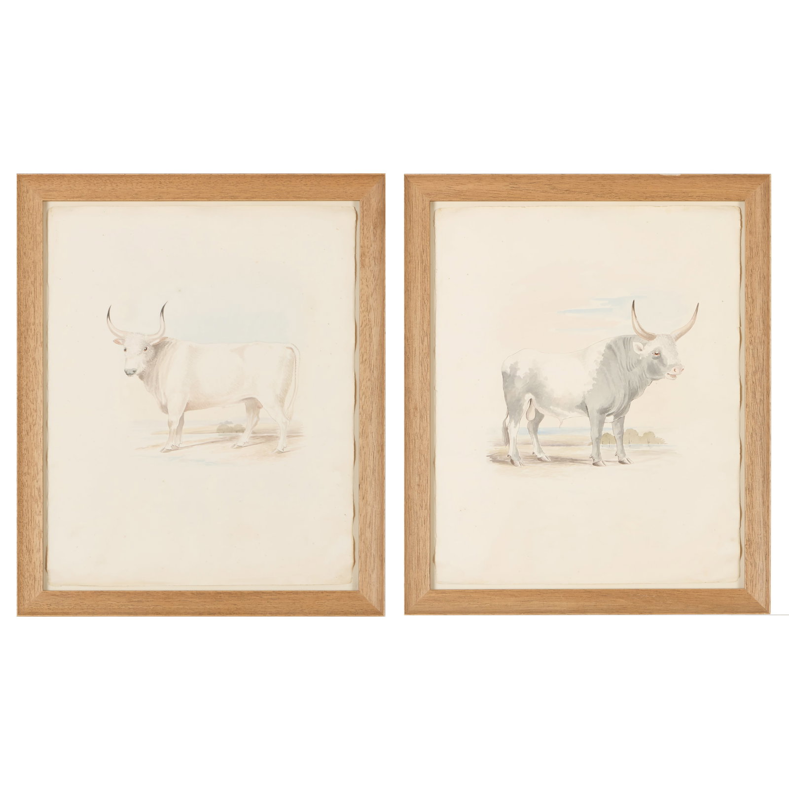 Charles Hamilton Smith (1776-1859): Bulls: A Pair, from Ruminantia: Charles Hamilton Smith (1776-1859): Bulls: A Pair, from Ruminantia Two watercolor on paper, unsigned. Both 16 1/2 x 13 in. (sheet), 19 x 15 3/4 in. (frame). Sold Swann, NY, December 4, 2014, part Lot 