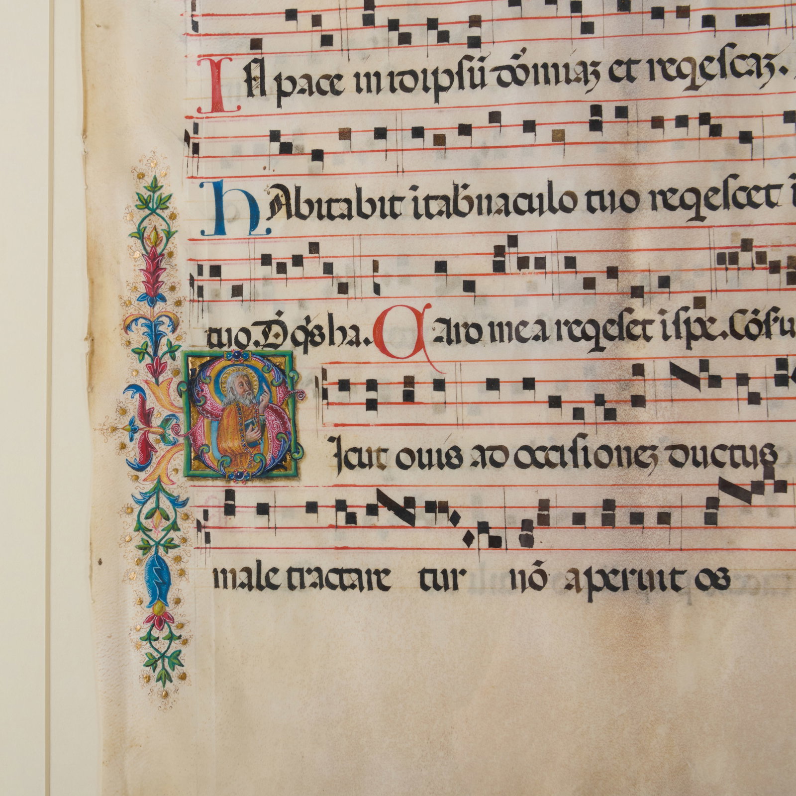 Antiphonal on Vellue - 2