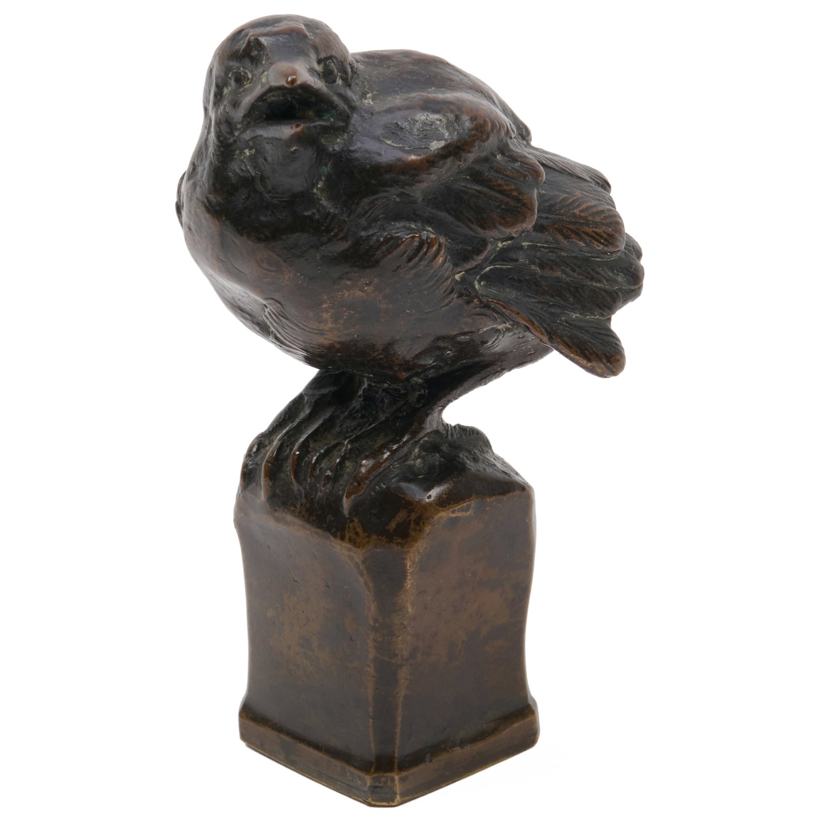 20th Century School: Bird (1 of 8)