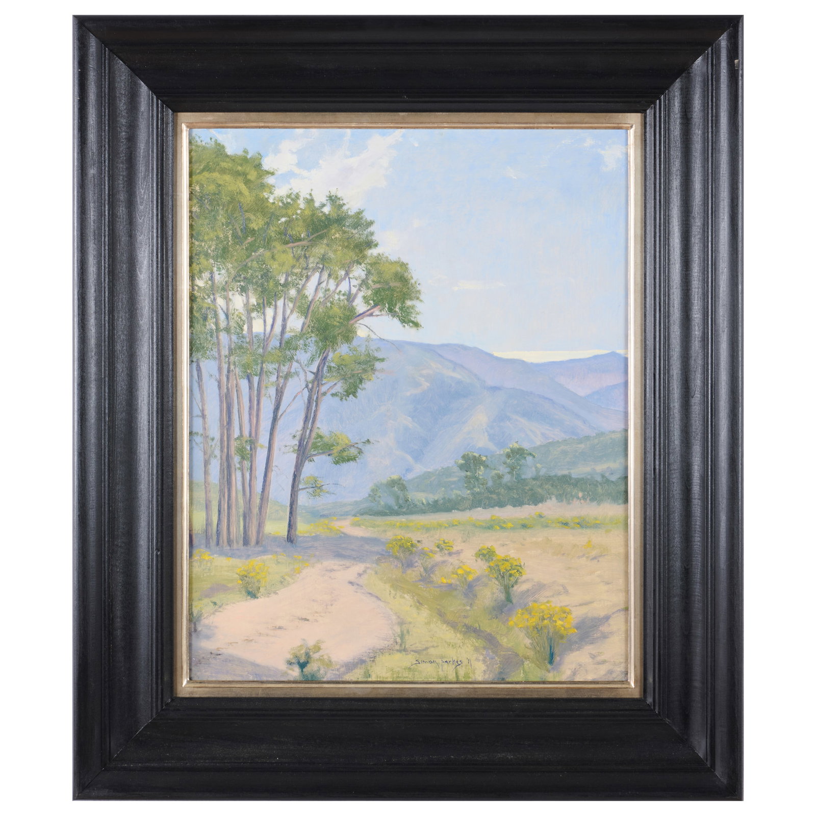 Simon Parkes (1954-2025): Tall Trees, Blue Light, Trinchera (1 of 5)