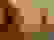 item-3336702=3