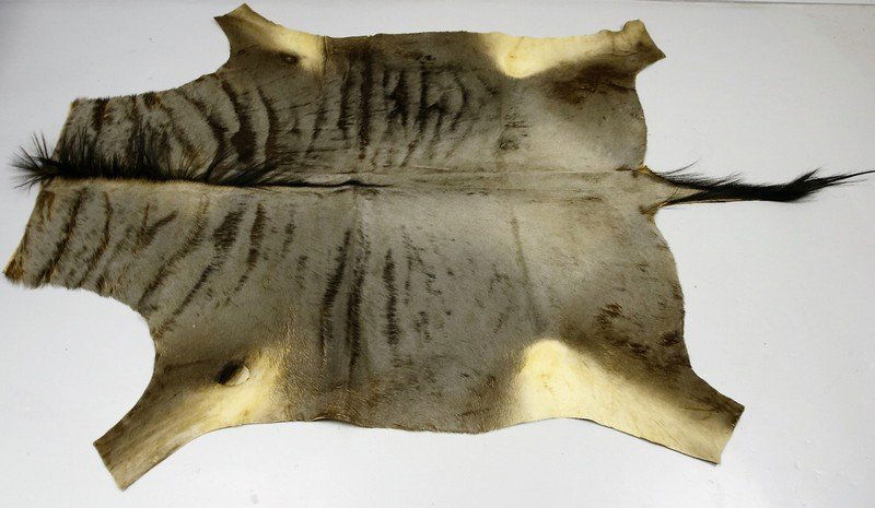 Wildebeest Hide Rug (1 of 2)