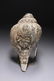 Tibetan Conch Shell - 2