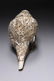Tibetan Conch Shell - 3