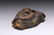 Tibetan Fungus Mask - 3