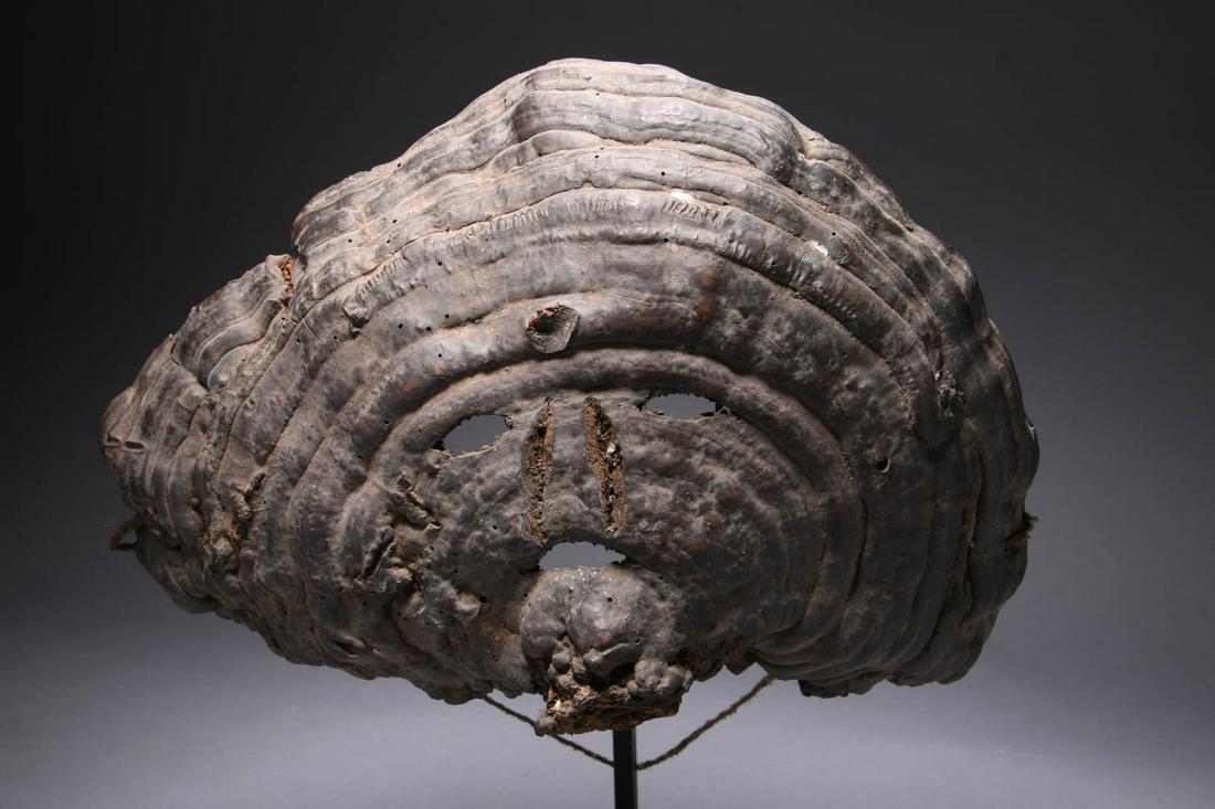 Nepal Shaman Fungus Mask (1 of 3)