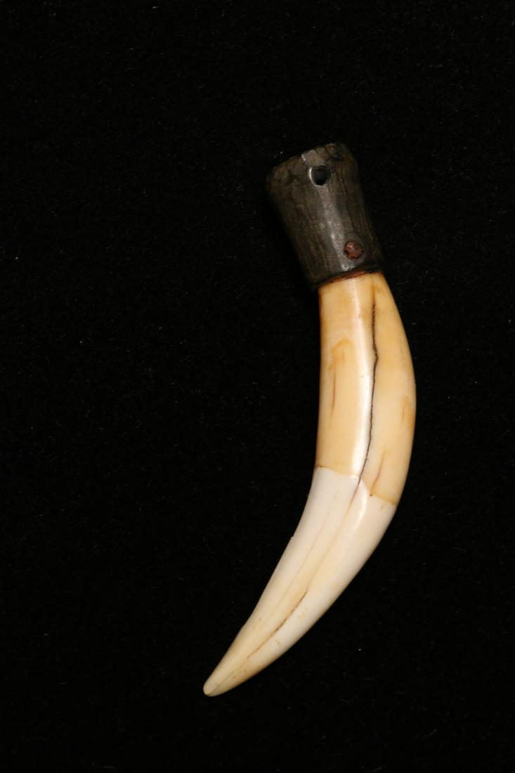 Borneo Pendant: A tooth pendant with wood collar, large cat tooth, suspension hole, 3 H "