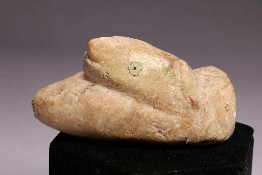 Ancient Snakehead (1 of 5)