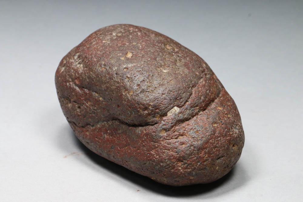 Coprolite Dung (1 of 5)