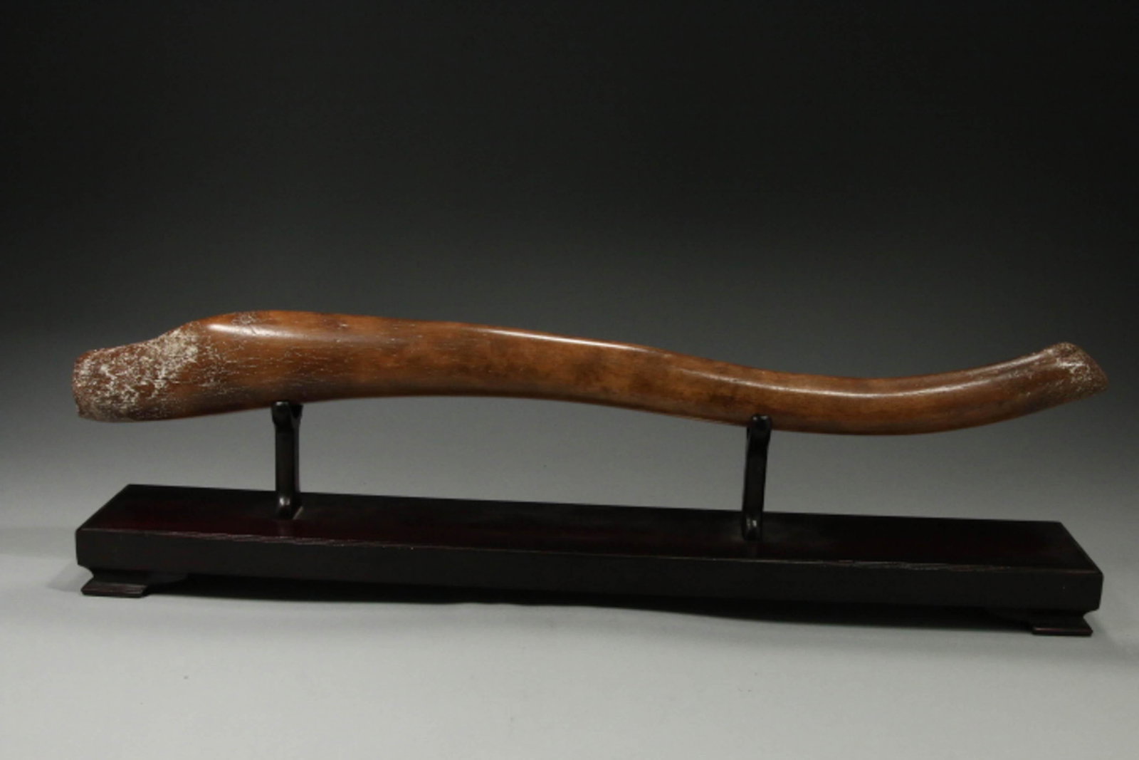 Inuit Fossilized Walrus Oosik Club: An Oosik Baculum Salmon Club. Fossilzed walus penis bone, 19"L. Display stand is included.