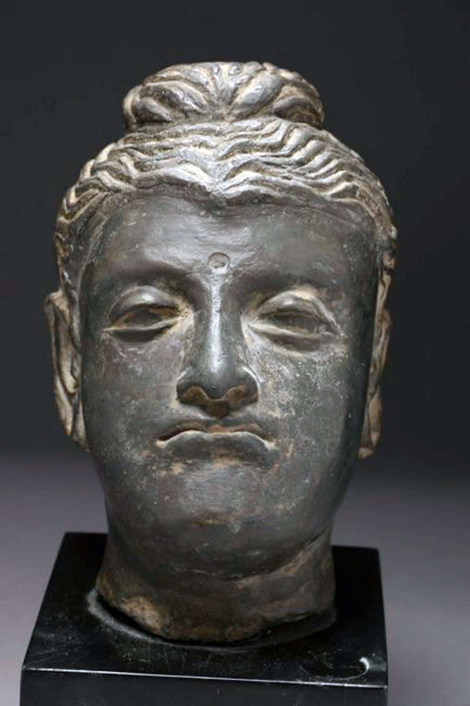 Gandharan stone Head of a Bodhisattva: A grey schist stone carved head of a Bodhisattva or a king, prince. Nicely carved with detailed hair. On display stand, 6-1/2" ; 10" h w/stand. Provenance: Ex. Private collection, New York, NY