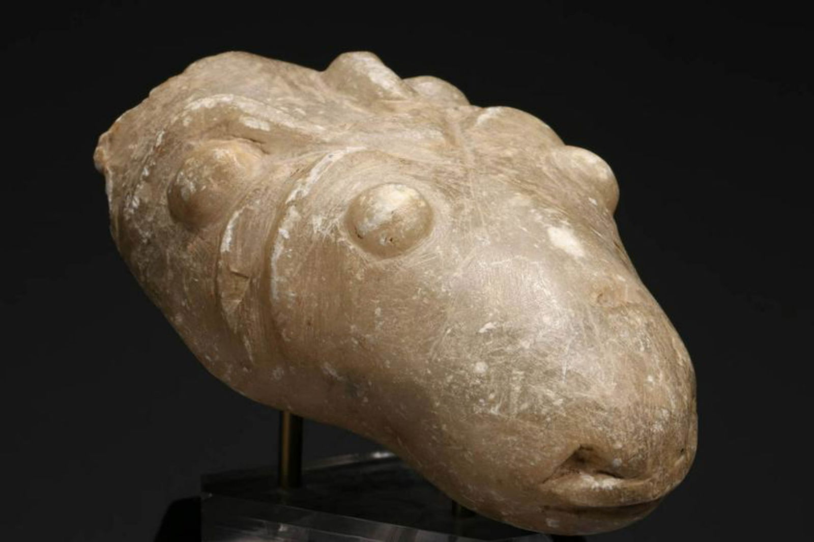 Ancient Stone Snakehead (1 of 3)