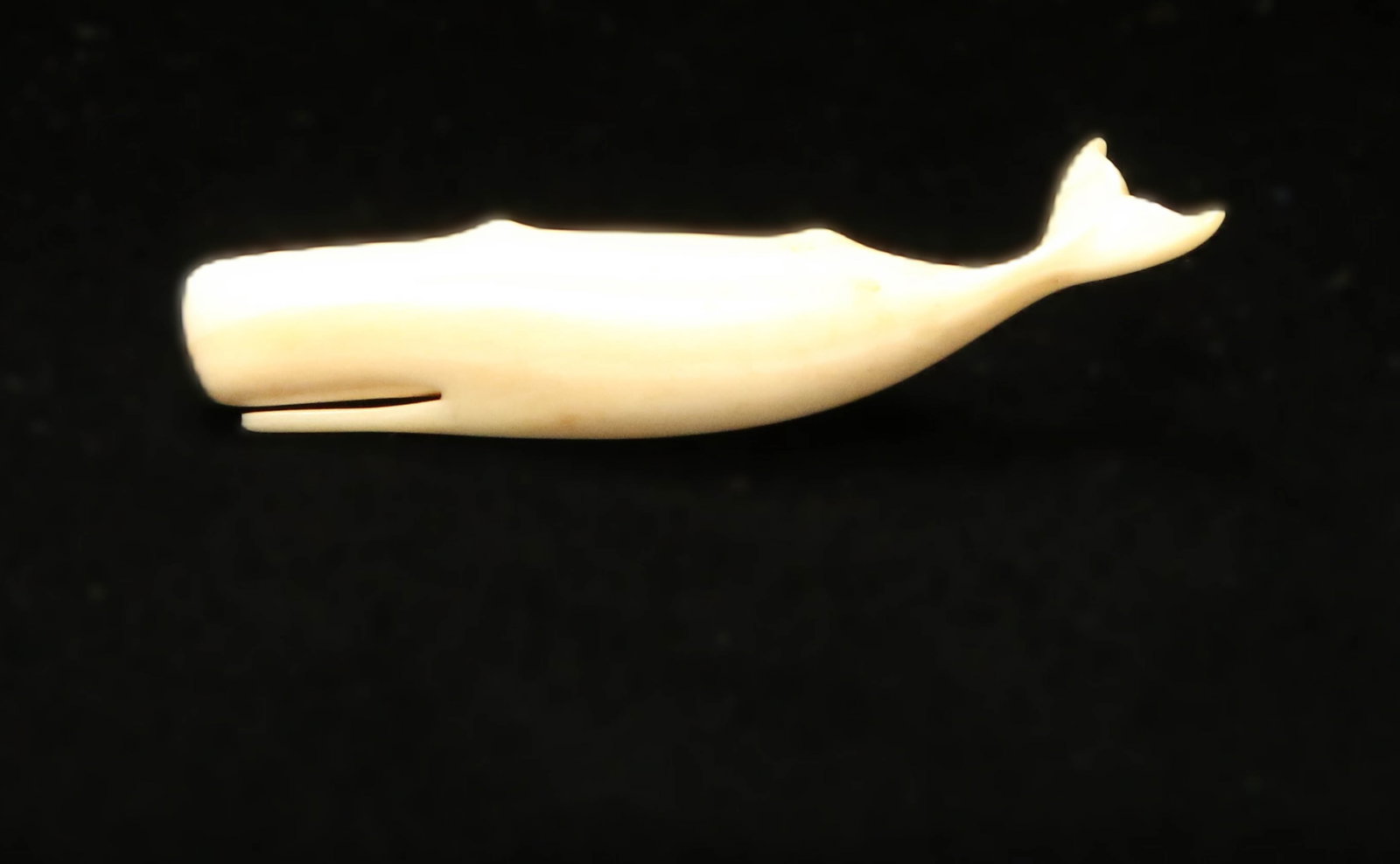 Inuit Whale Pin: A walrus ivory carved pin in the shape of a whale, signed "C.F. Sayle". 1-3/4" L