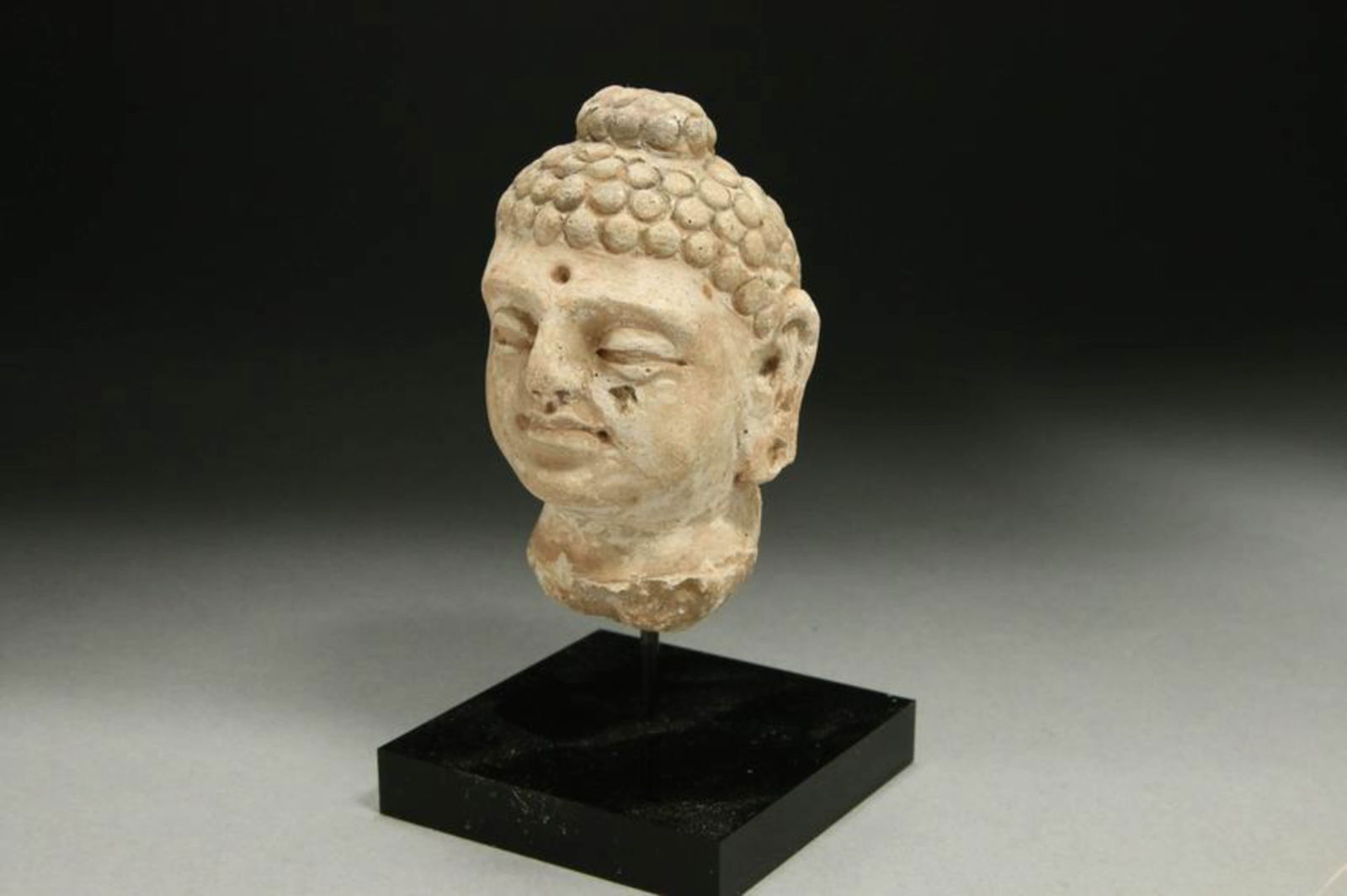 Gandharan Buddha Head (1 of 4)