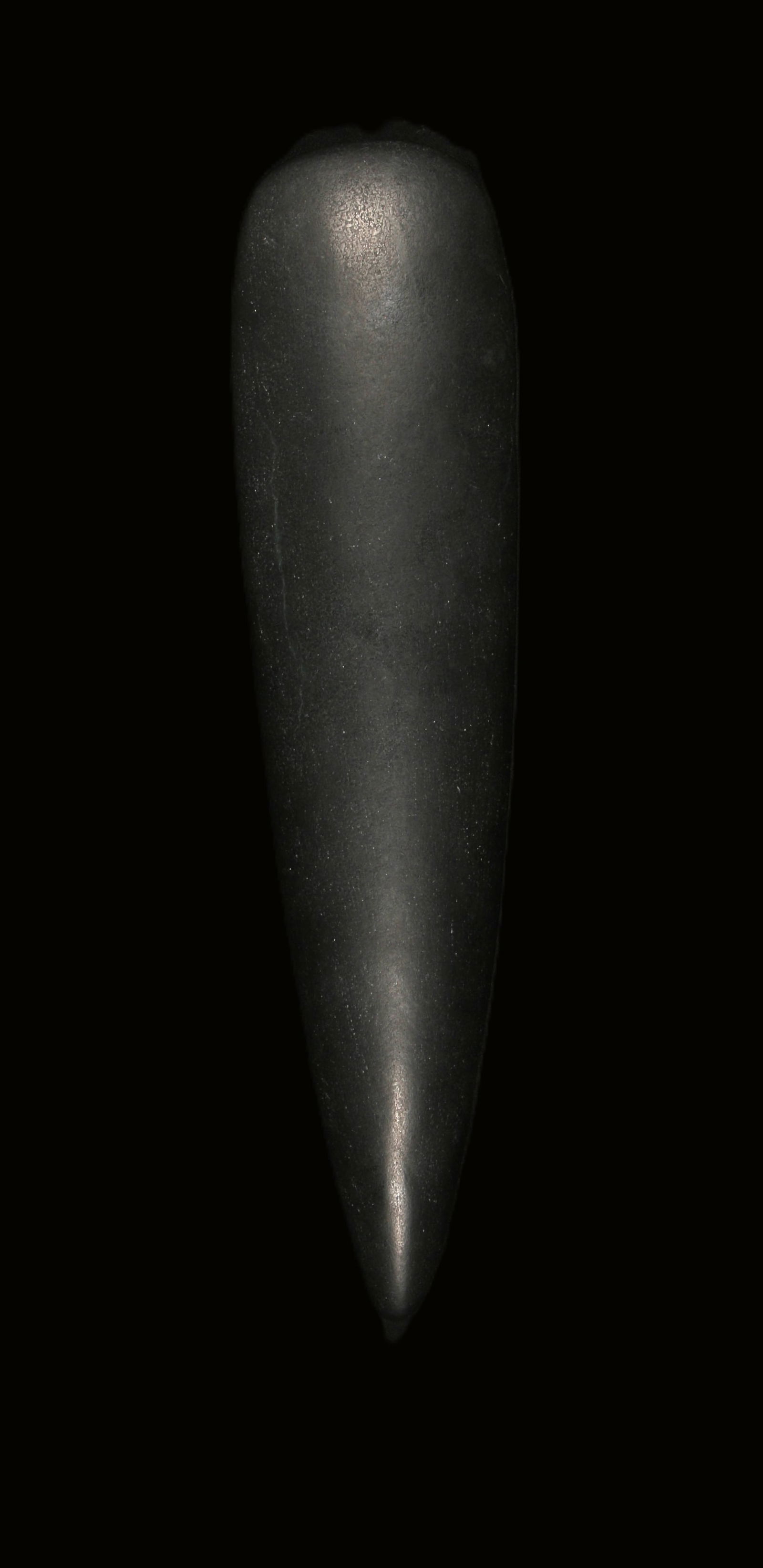 Pre-Columbian Taino Stone Celt: A large black ceremonial stone celt. 12" L. Provenance: Ex collection D. Purca, New York, N.Y.