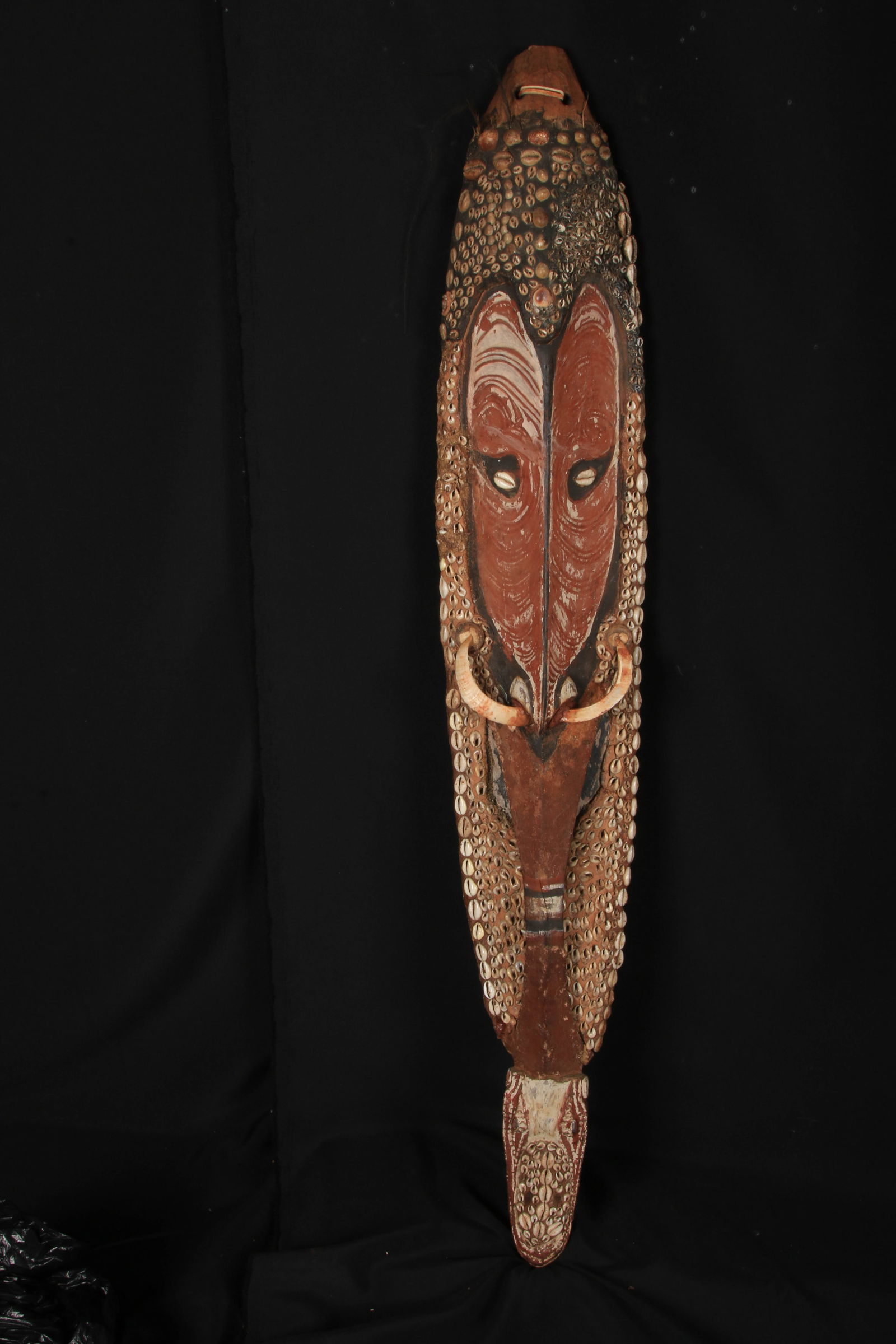 Papua New Guinea Mwai Mask: The mask is carved from wood and decorated with red and white pigments, along with cowrie shells and animal tusks. These masks represent ancestral figures or protective spirits and were used in ritual