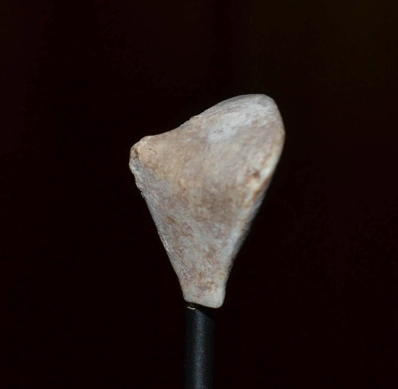 Anatolian Stargazer: Distinctive marble fragment belonging to prehistoric stylized female figures, nicknamed "Stargazers" due to their sharply upward-tilted posture. From western Anatolia (modern-day Turkey) and date back