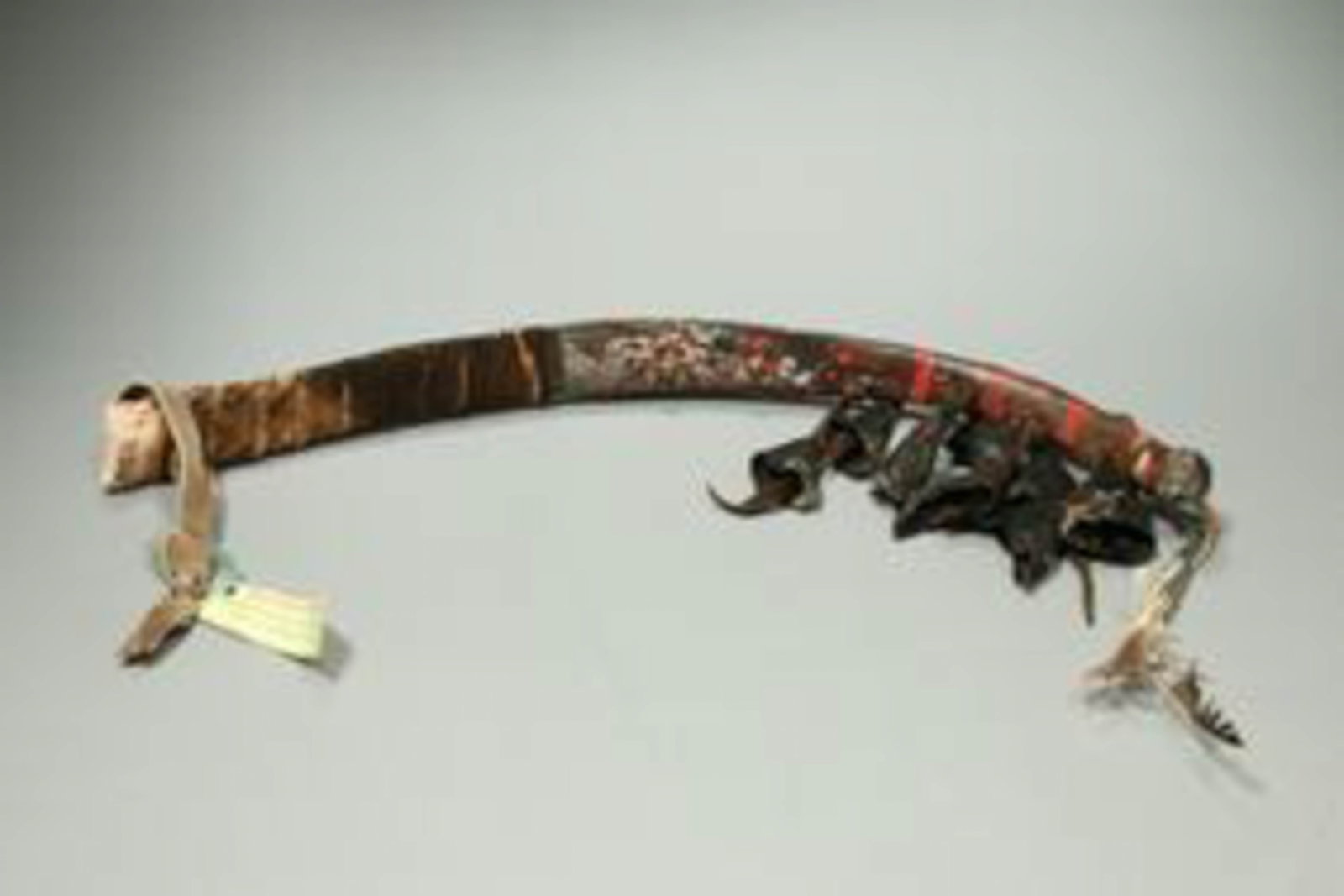 Natvie American Rib Rattle: A buffalo rib rattle with tag stating "Made by Floyd Red Crow" Westerman for Hidalgo movie prop.
